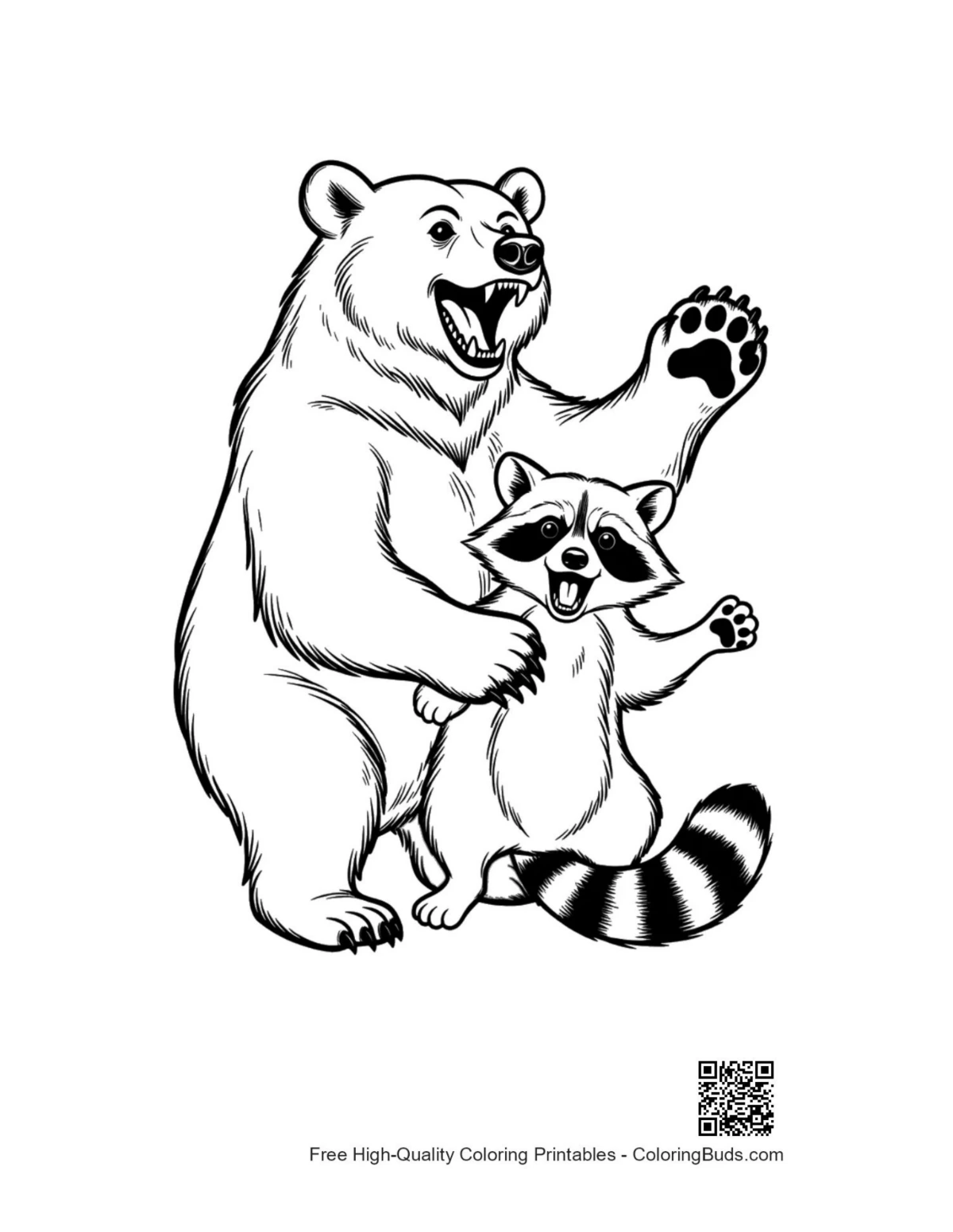 Roaring grizzly bear with playful raccoon outline