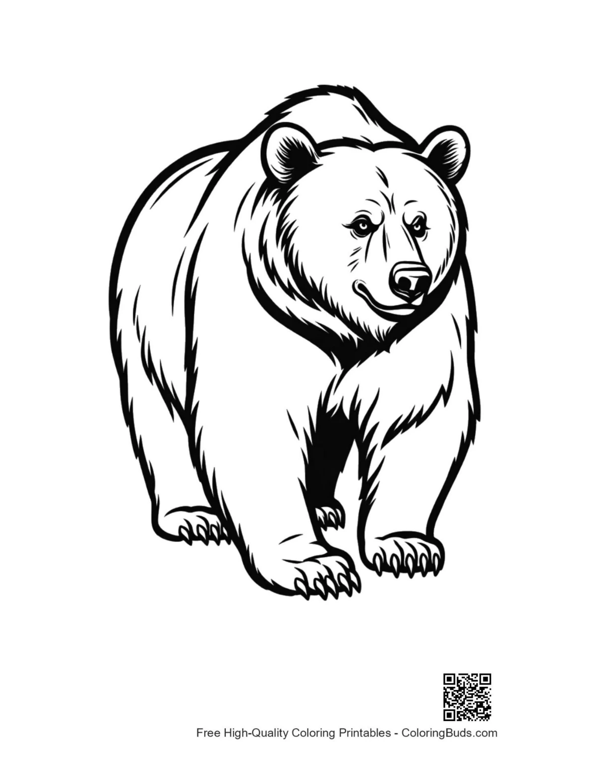 Mighty grizzly bear in powerful stance illustration