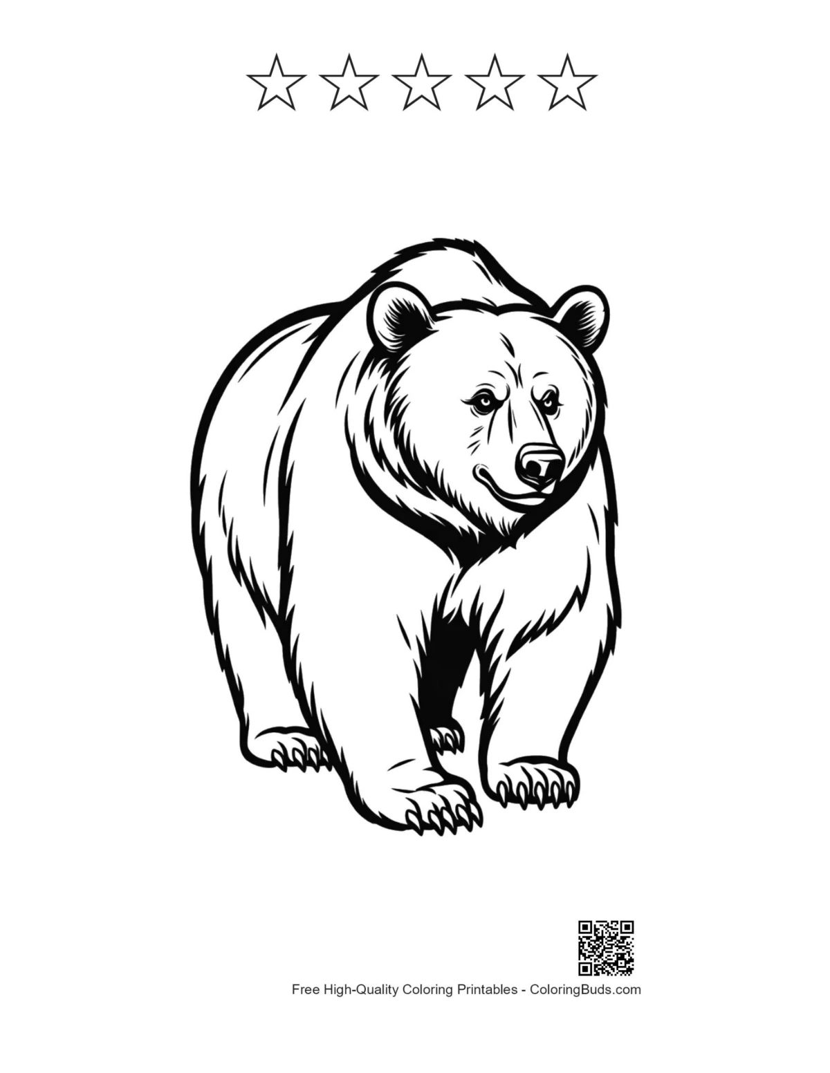 Grizzly bear printable with 5-star outline