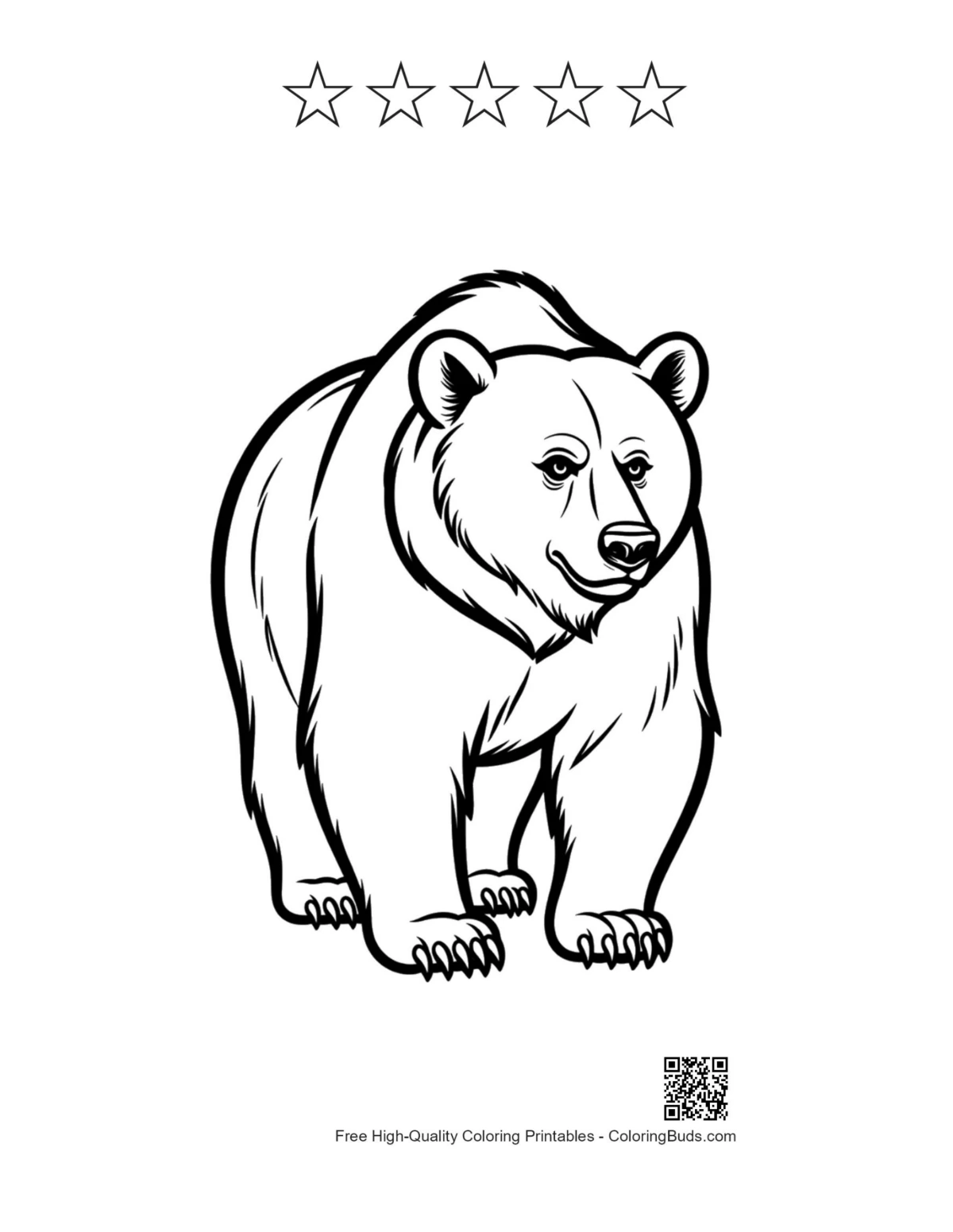 Grizzly bear with 5 stars outline