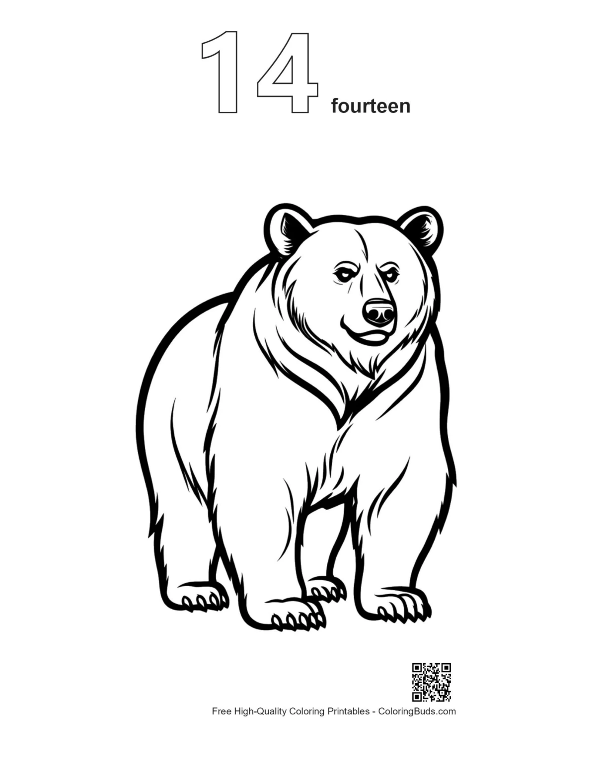 Grizzly bear outline coloring page number 14