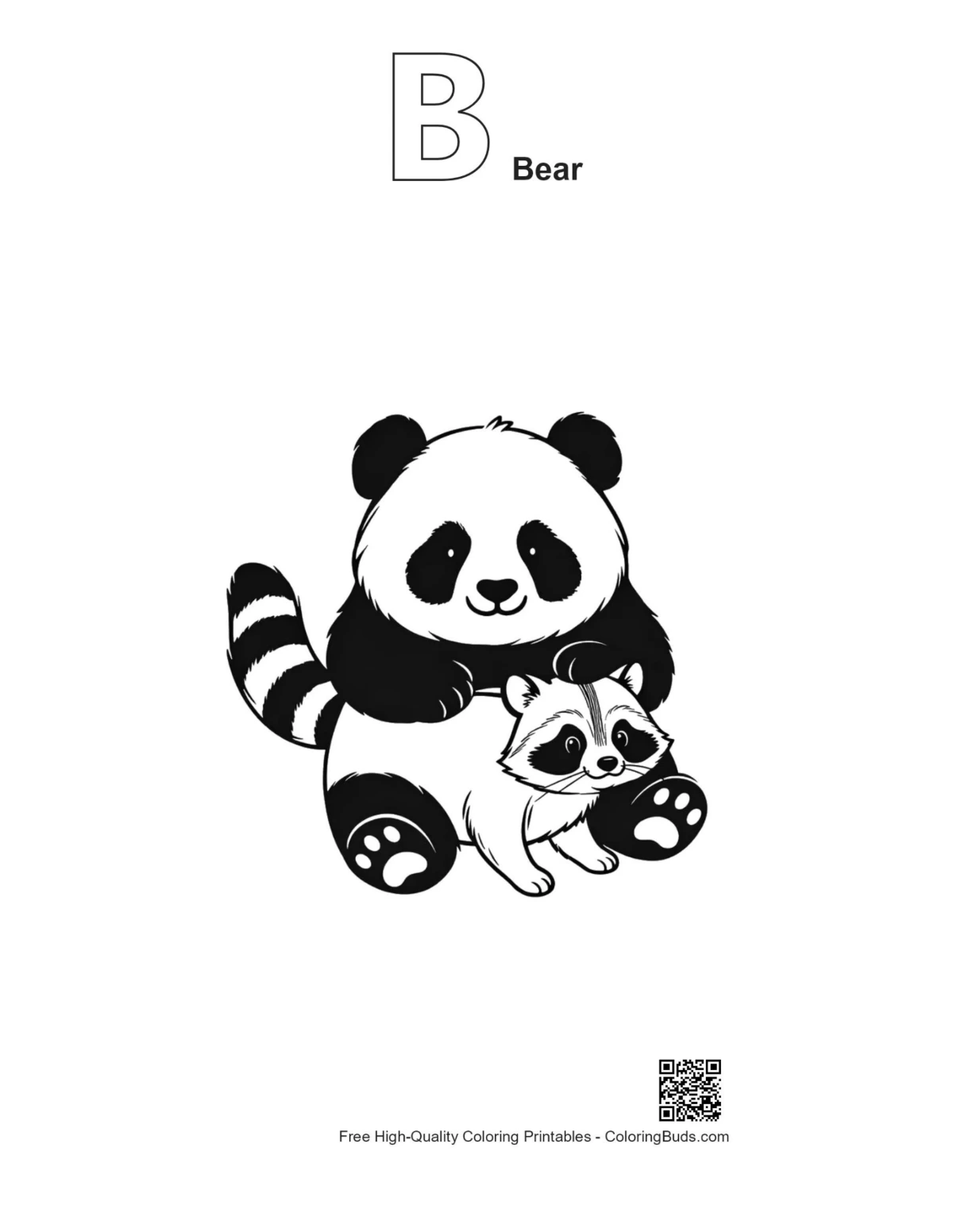 Panda raccoon baby outline with alphabet B bear