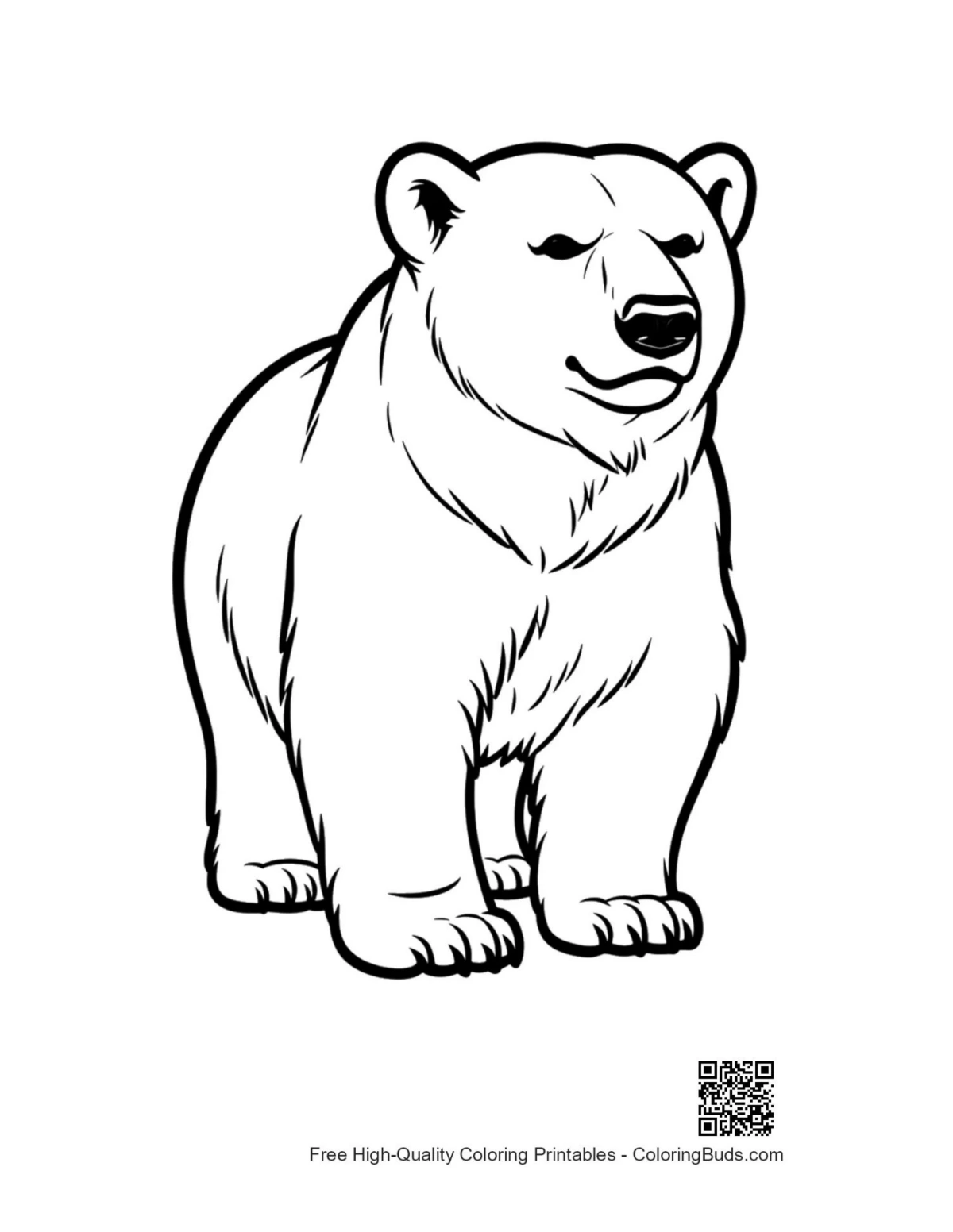 Cute polar bear standing outline for coloring