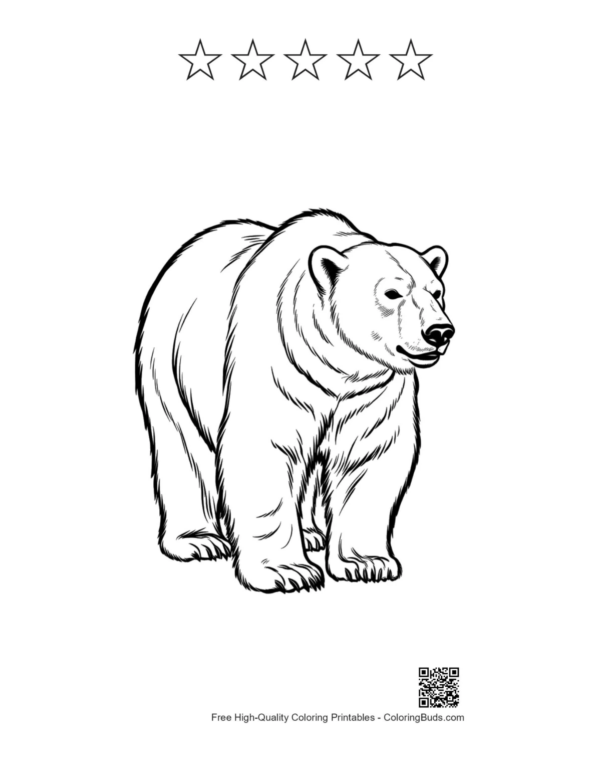 Proud polar bear with 5-star outline printable