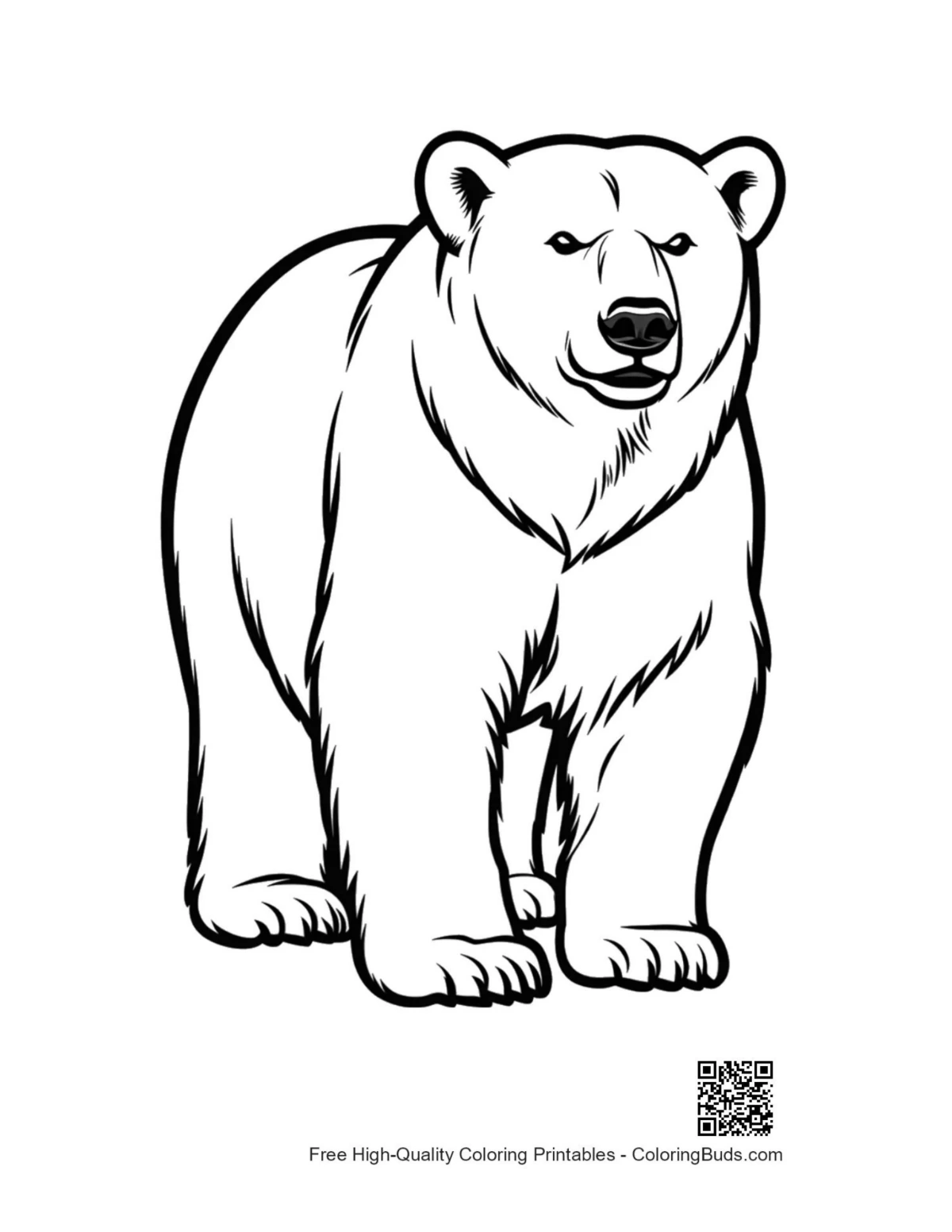 Standing polar bear outline for coloring pages