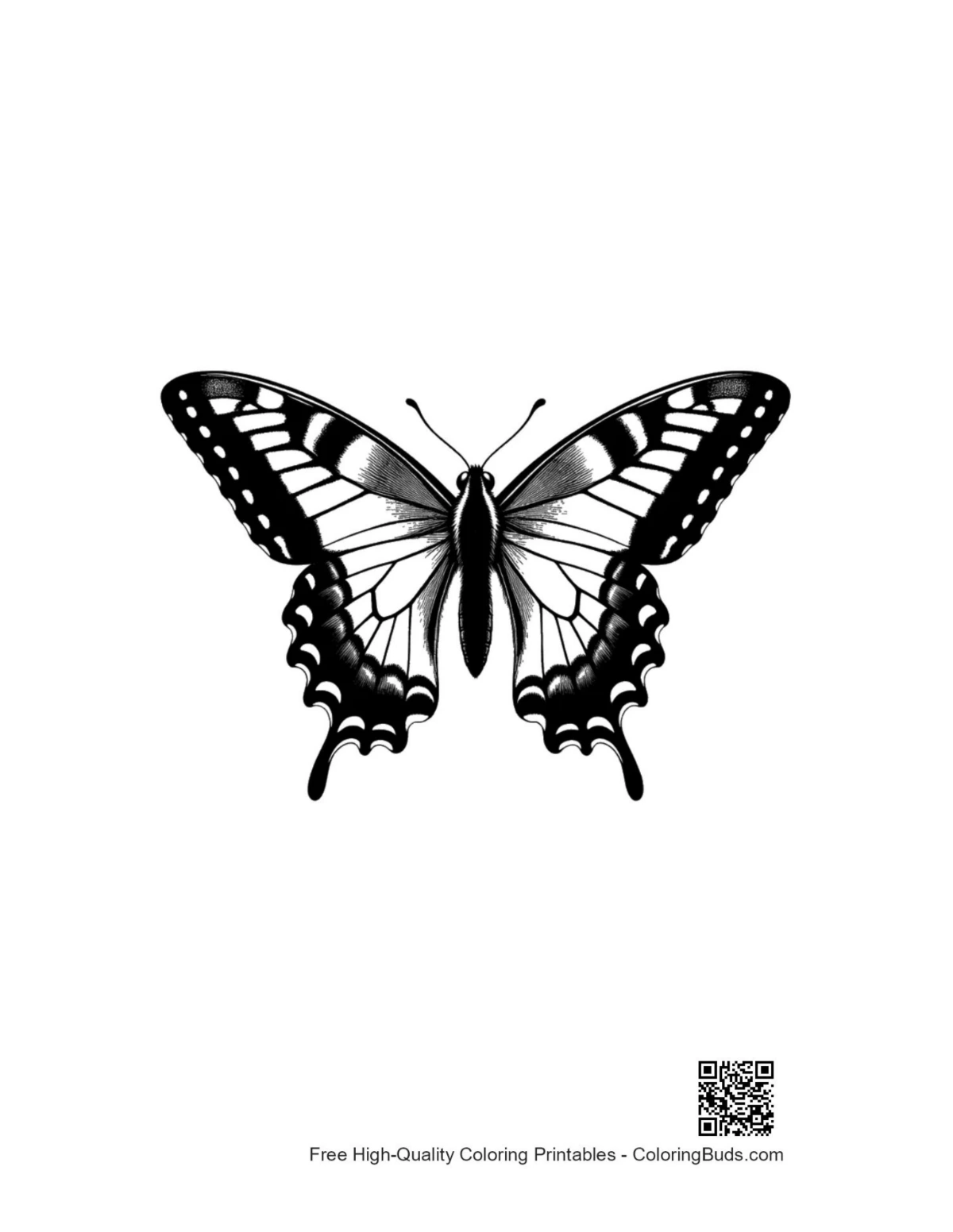 Black and white outline of swallowtail butterfly