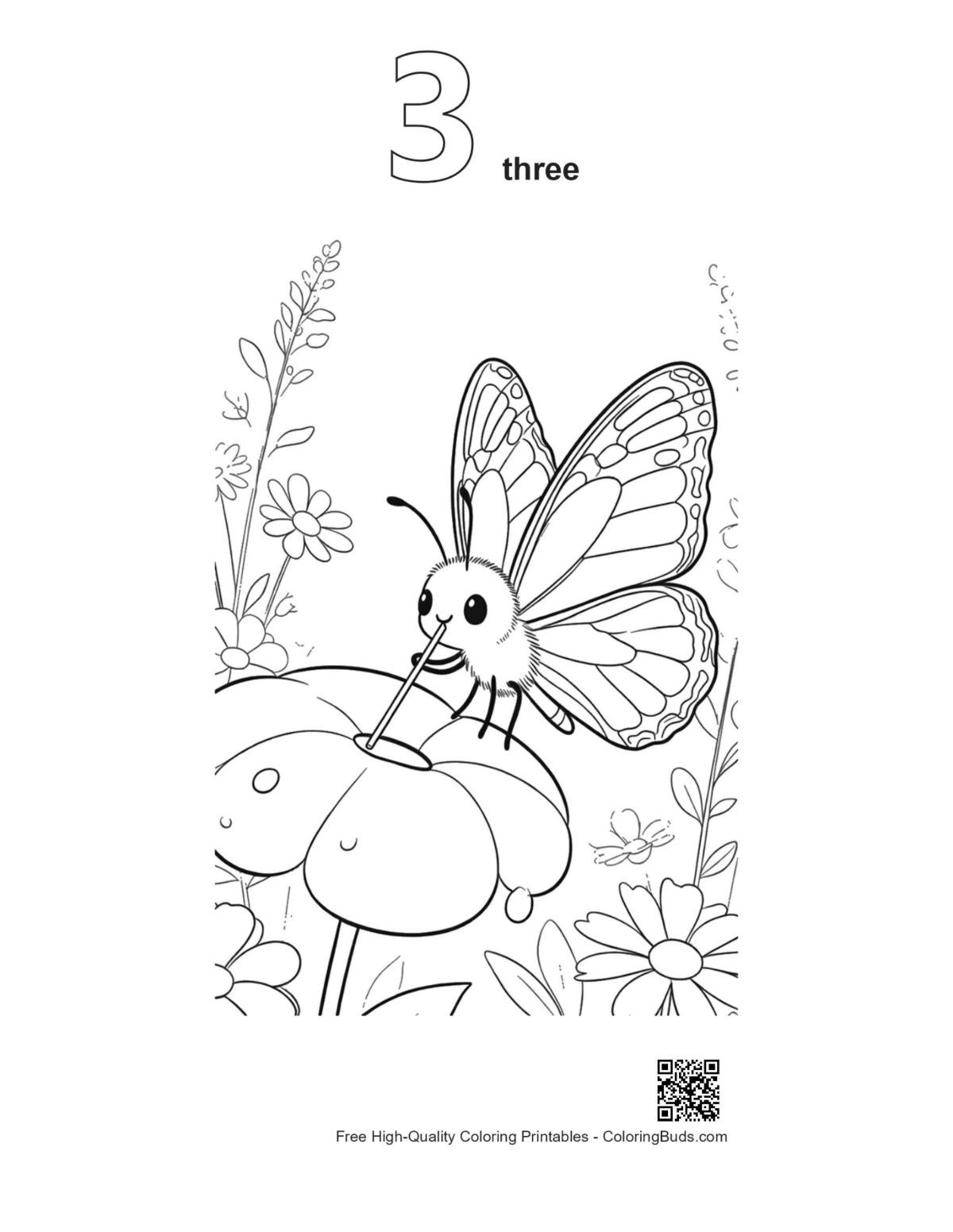Outline monarch butterfly coloring page number 3