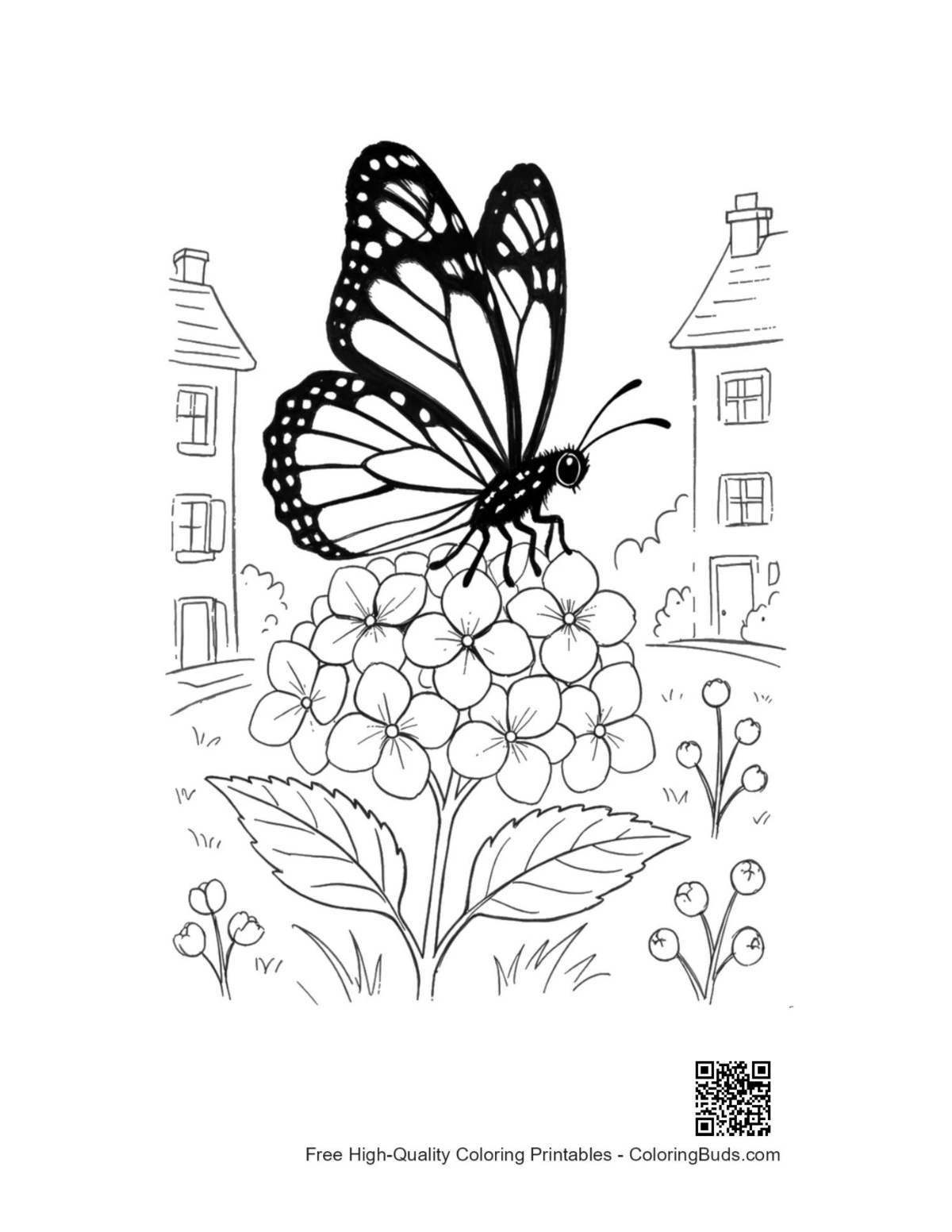 Monarch butterfly coloring sheet printable download