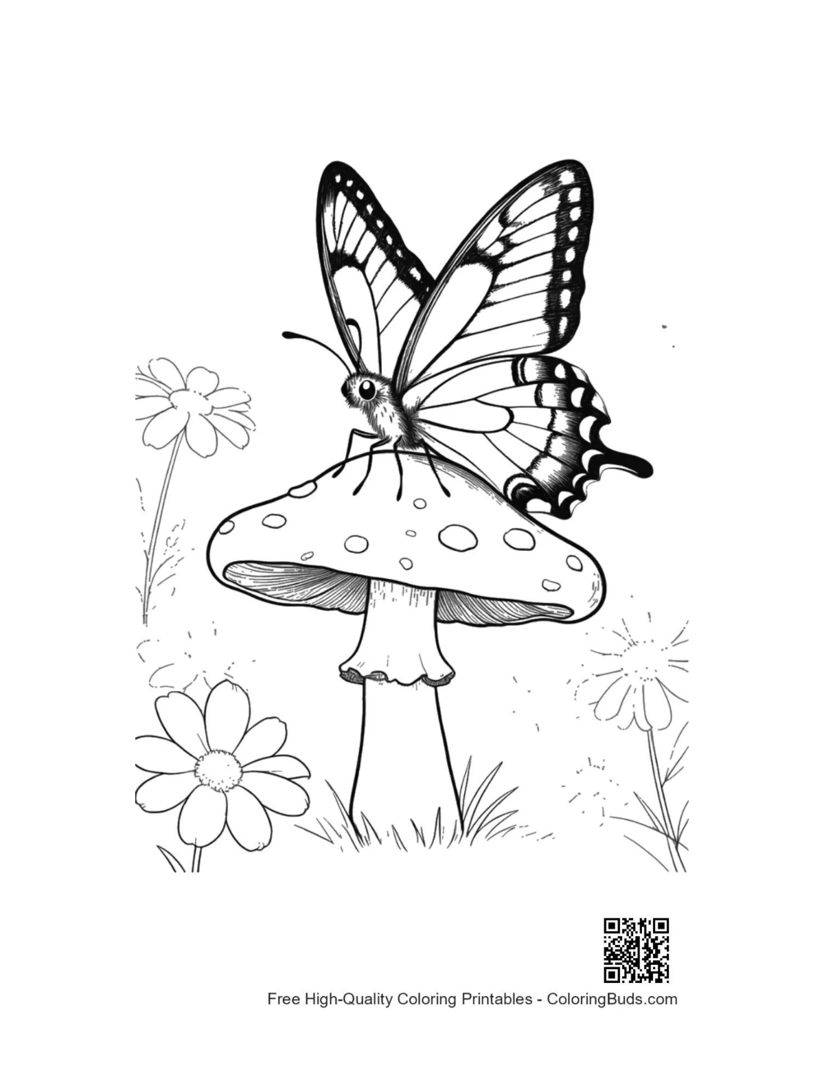 Swallowtail butterfly printable coloring page free download