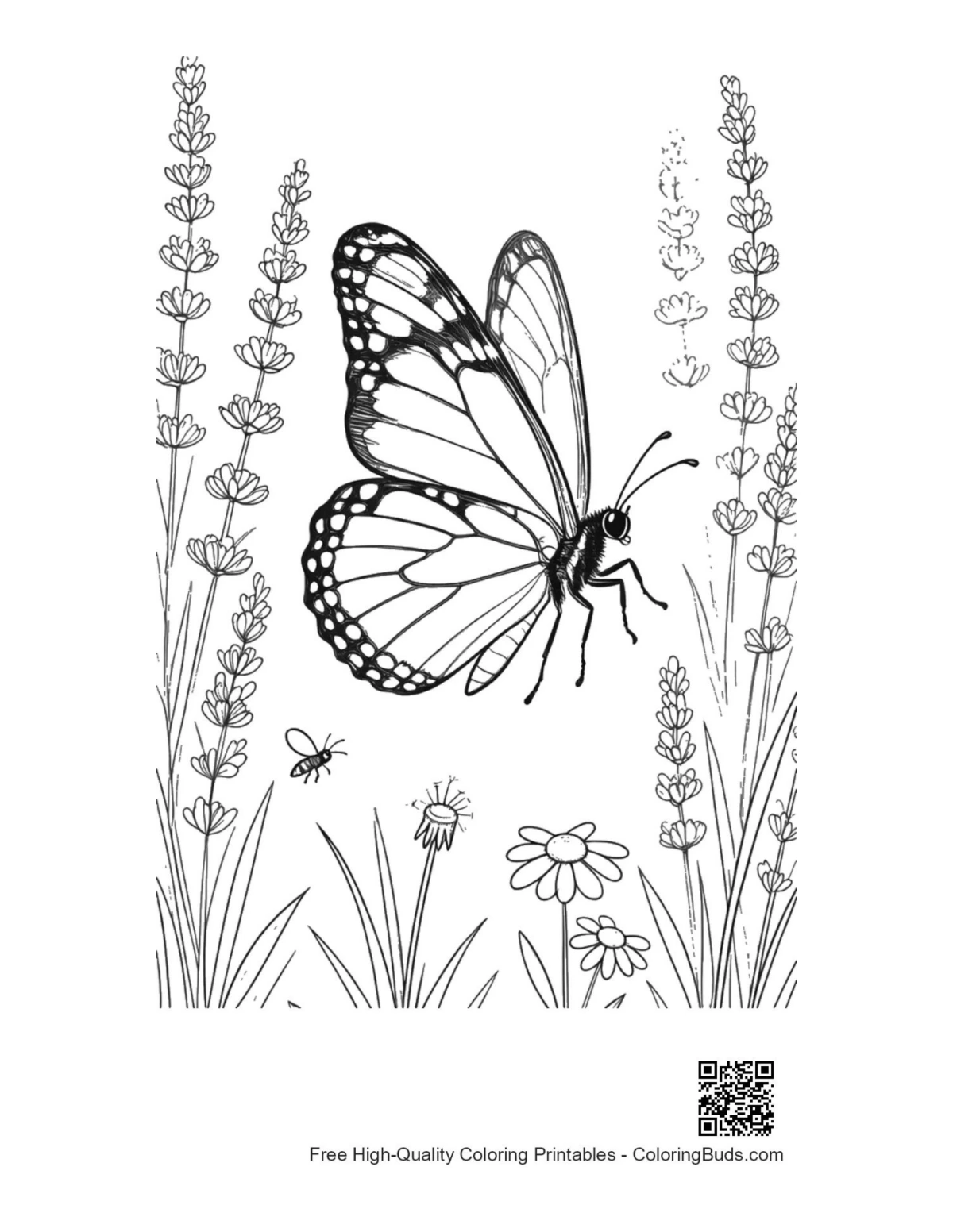 Easy monarch butterfly coloring printable