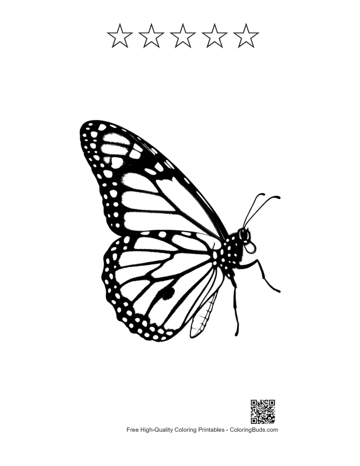 Butterfly line art printable with star outlines