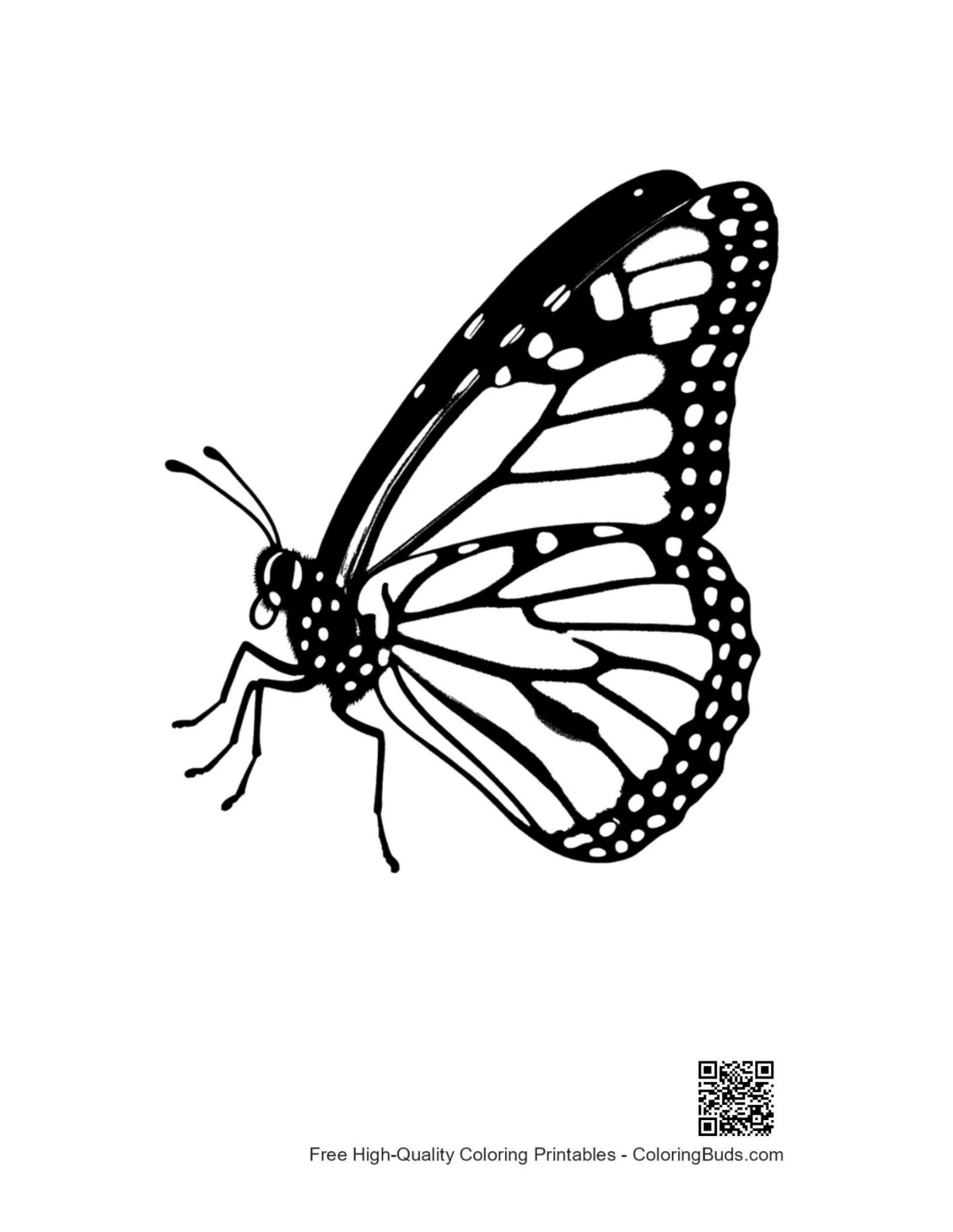 Monarch butterfly line art silhouette outline