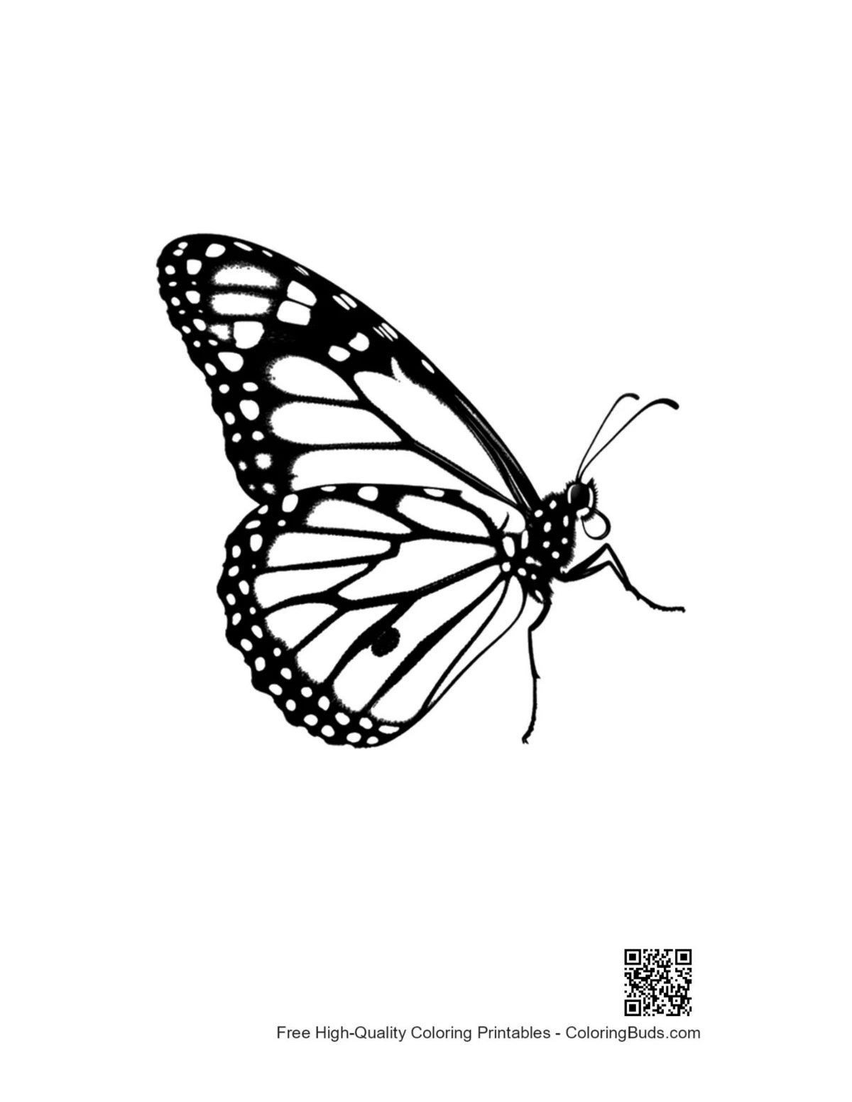 Monarch butterfly silhouette outline for printing