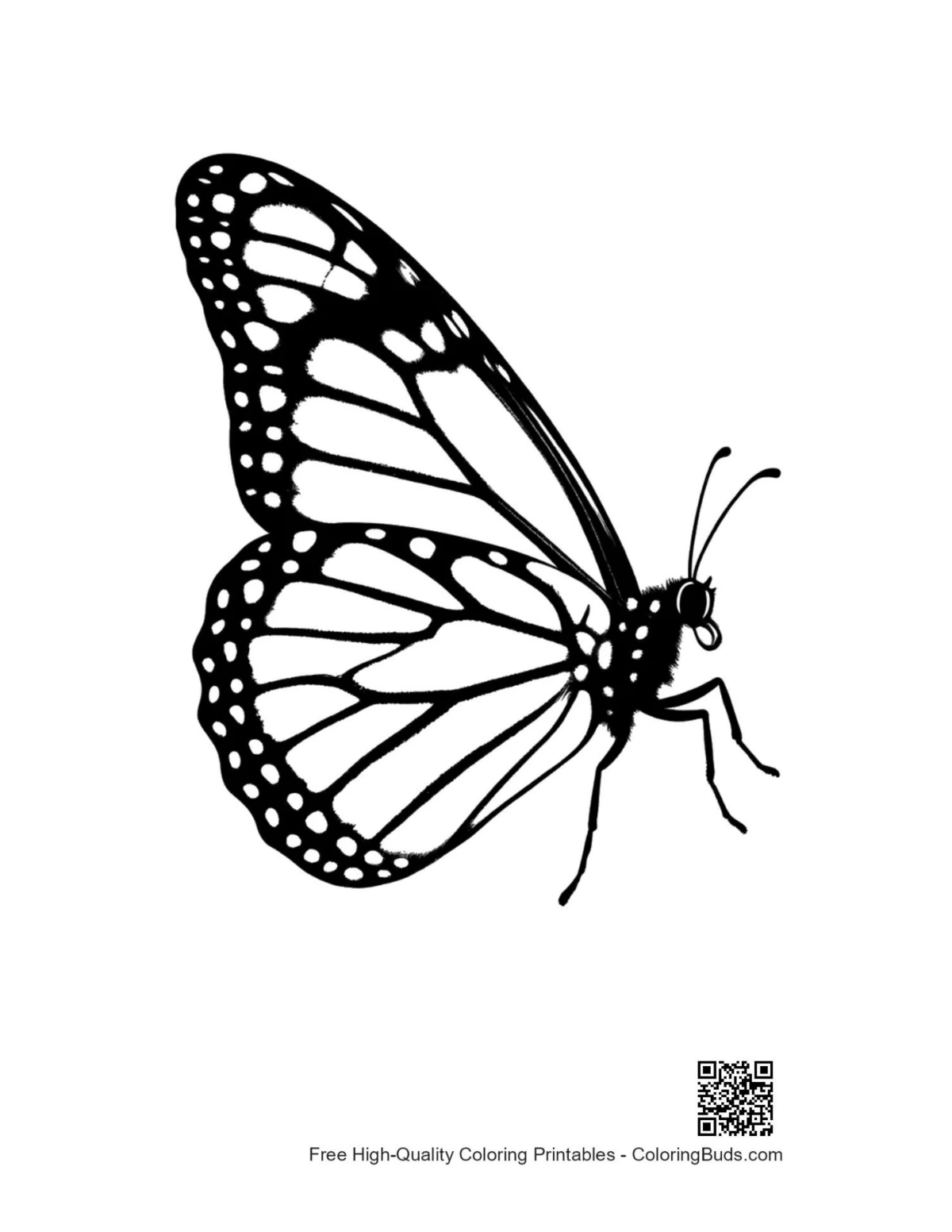Elegant monarch butterfly silhouette outline for printing