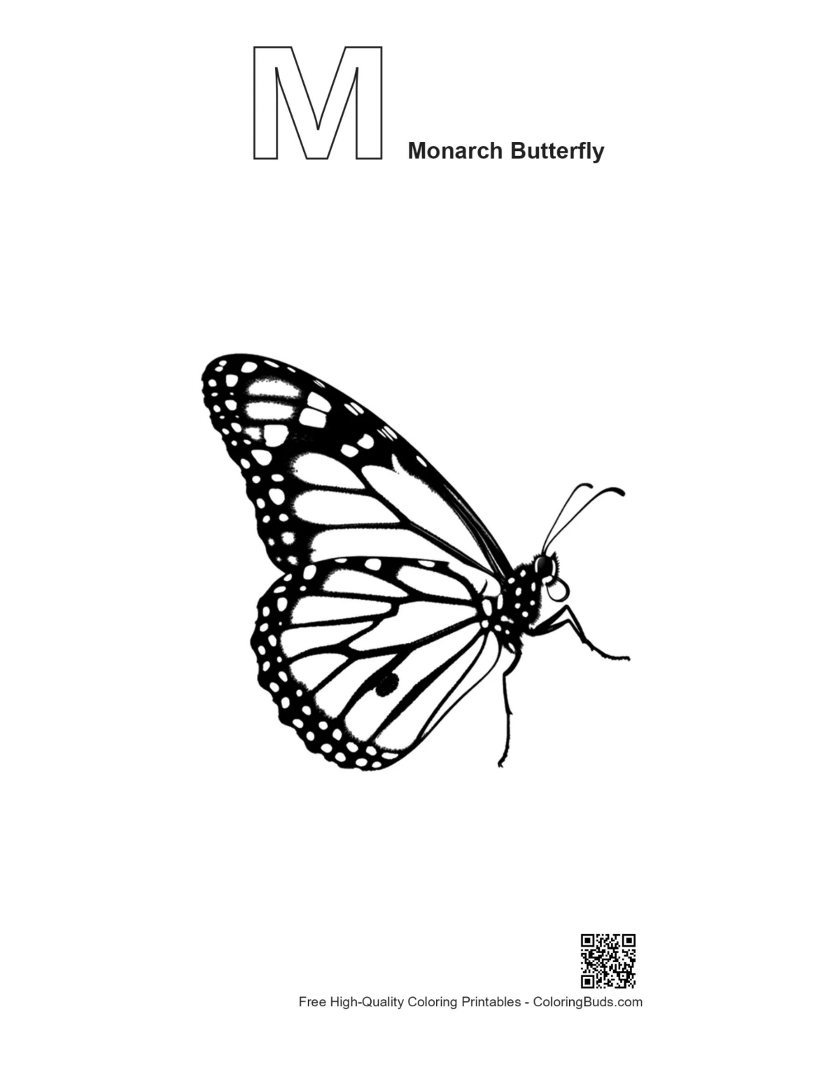 Monarch butterfly silhouette alphabet M outline printable