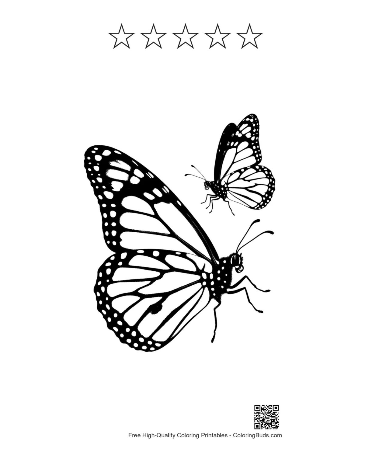 Monarch butterflies silhouette with 5-star outline