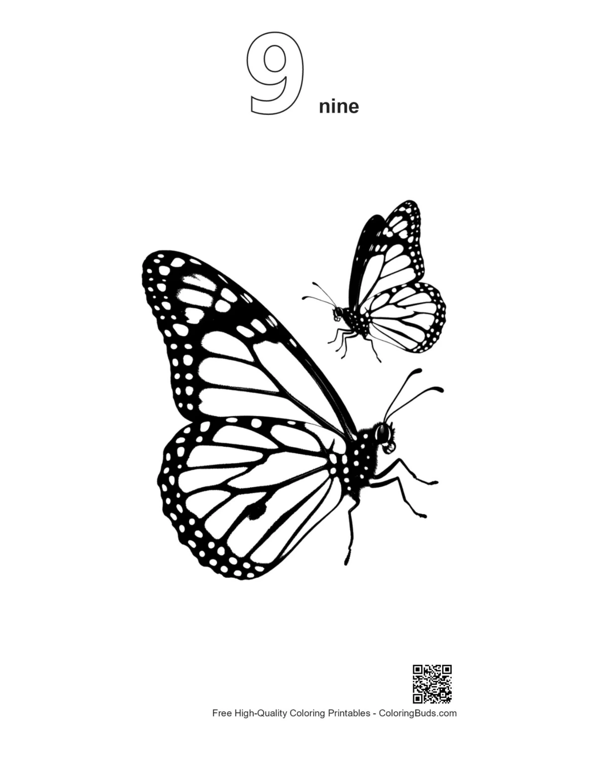 Monarch butterflies silhouette with number 9 outline
