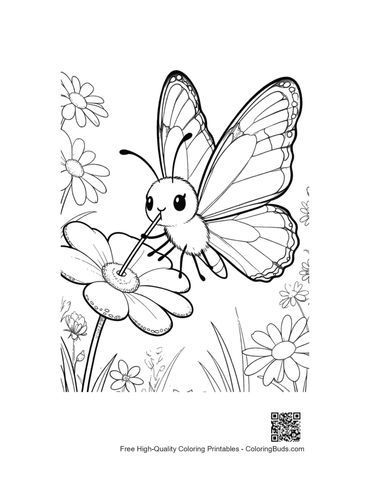 Monarch butterfly coloring page small friend on wild flower