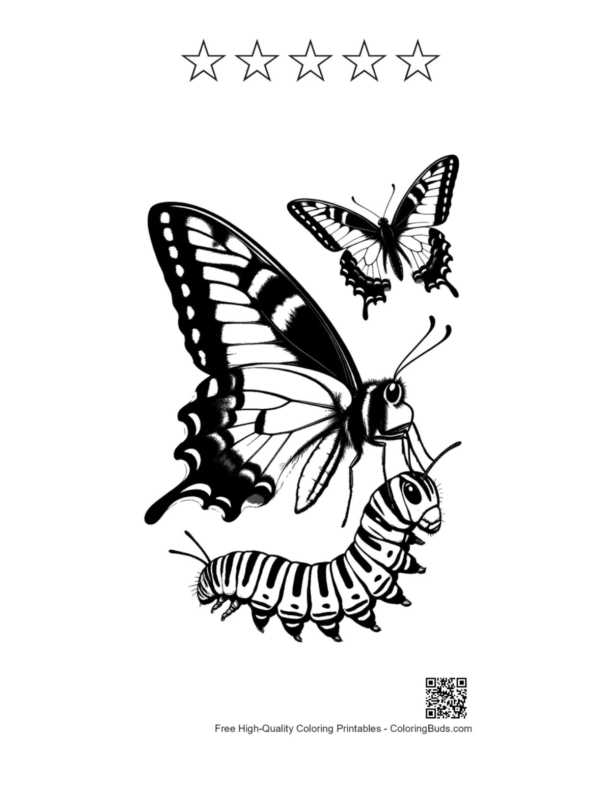 Swallowtail silhouette with star outlines printable