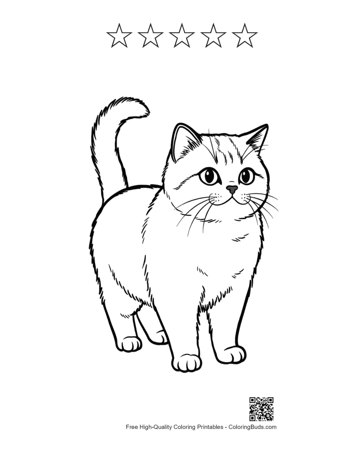 British Shorthair kitten with 5-star outline printable