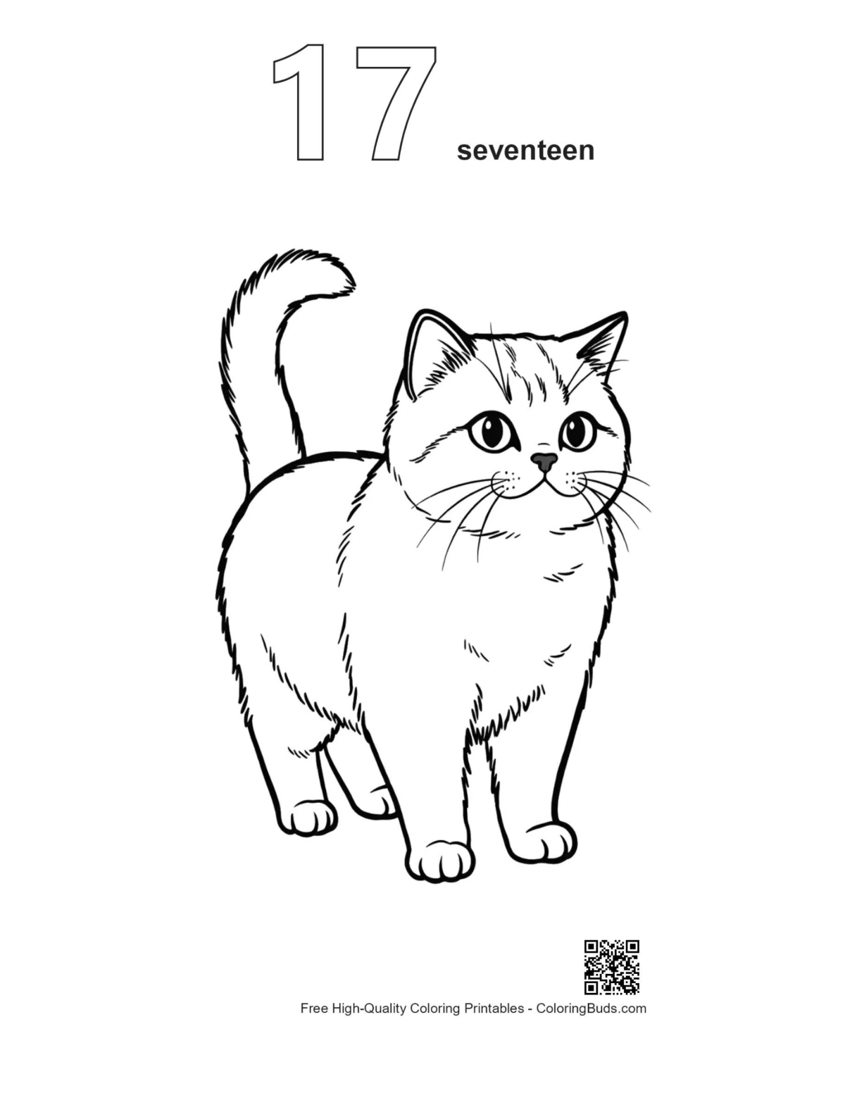 Numbered British Shorthair kitten outline printable #17