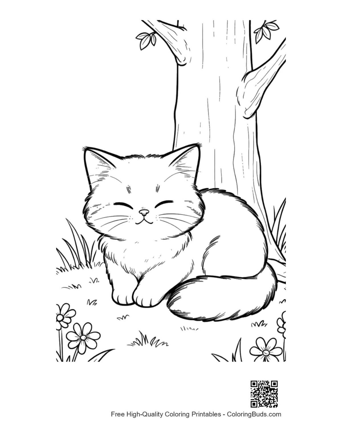 Maine Coon cat printable coloring page