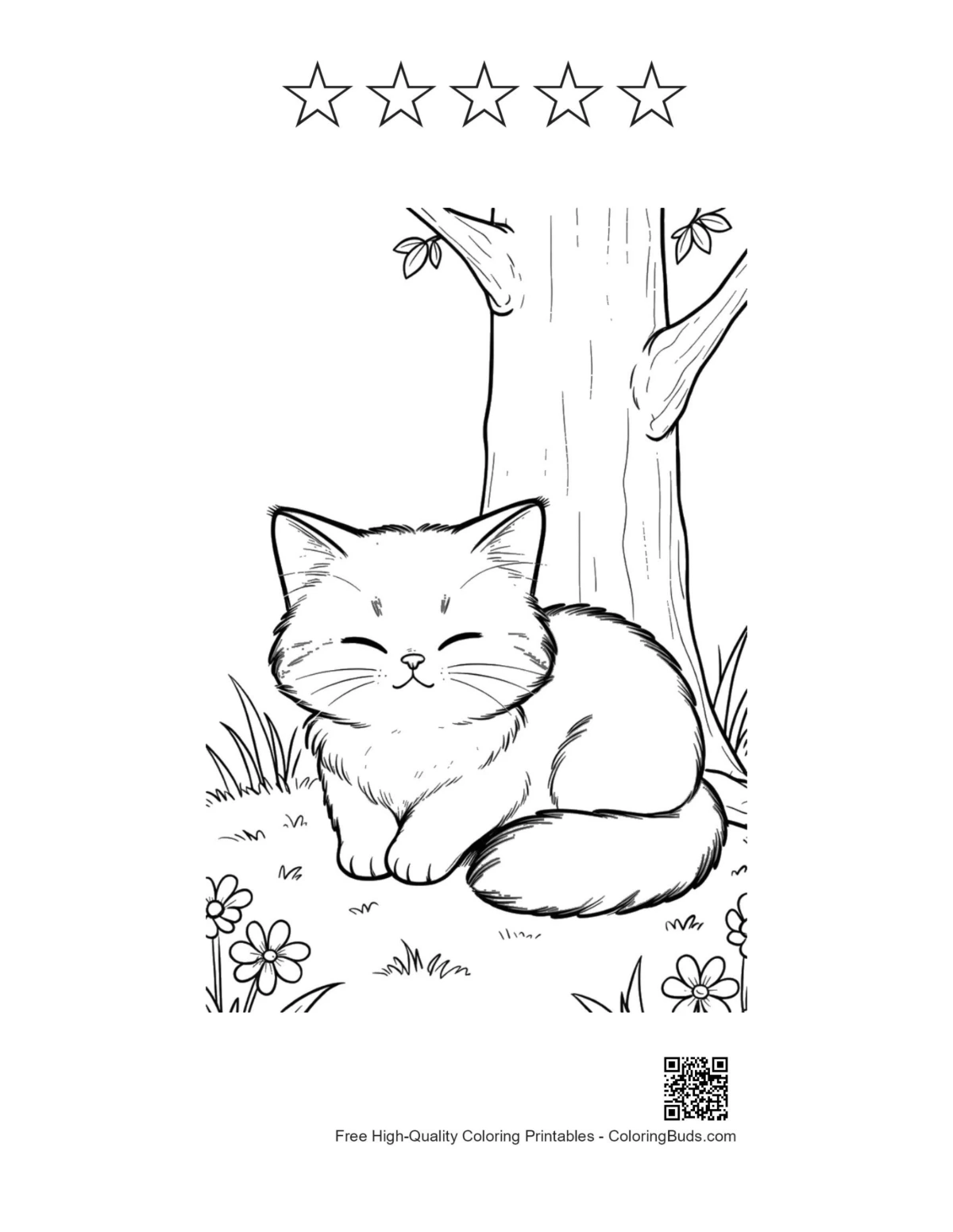 Maine Coon printable with 5 star outlines