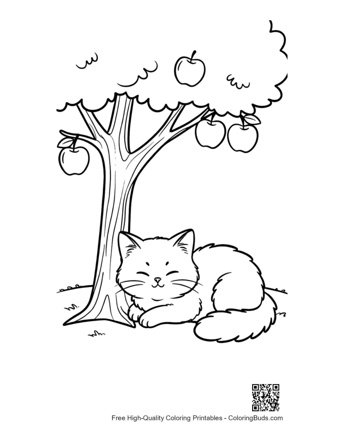 Maine Coon kitten in field under apple tree coloring page