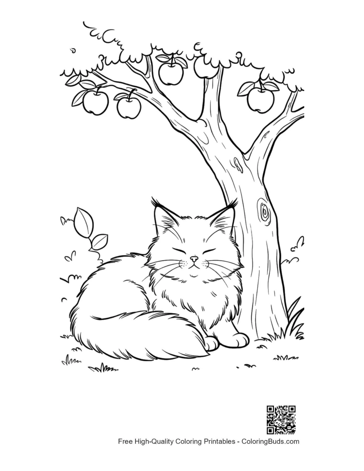 Maine Coon kitten under backyard fruit tree line art