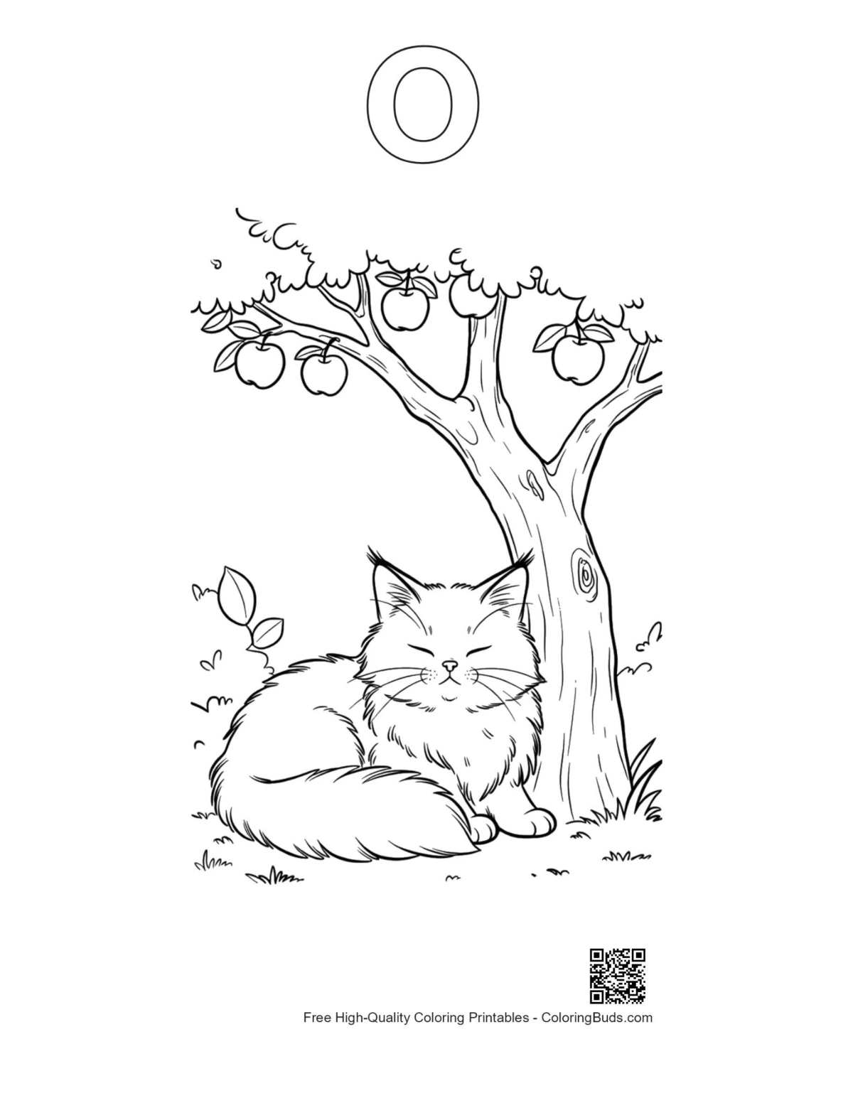 Maine Coon kitten fruit tree coloring page alphabet O
