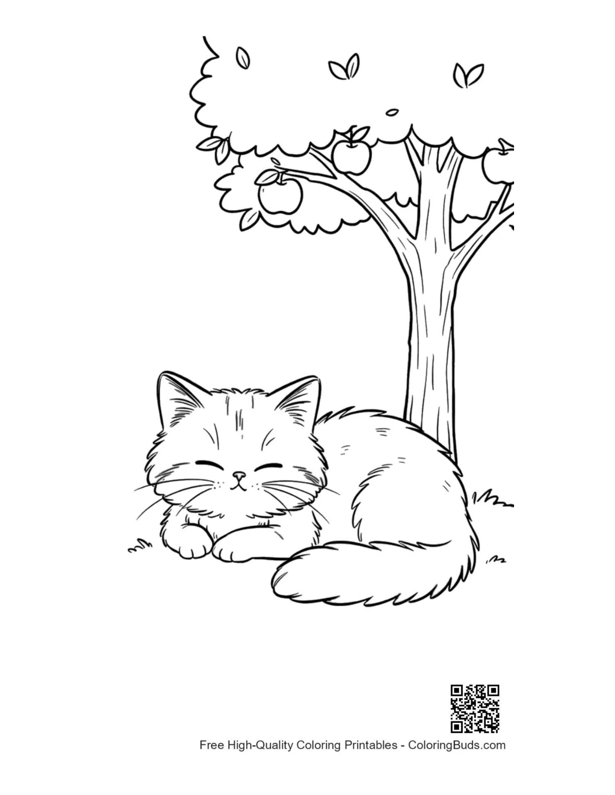 Serene Maine Coon kitten napping under apple tree printable