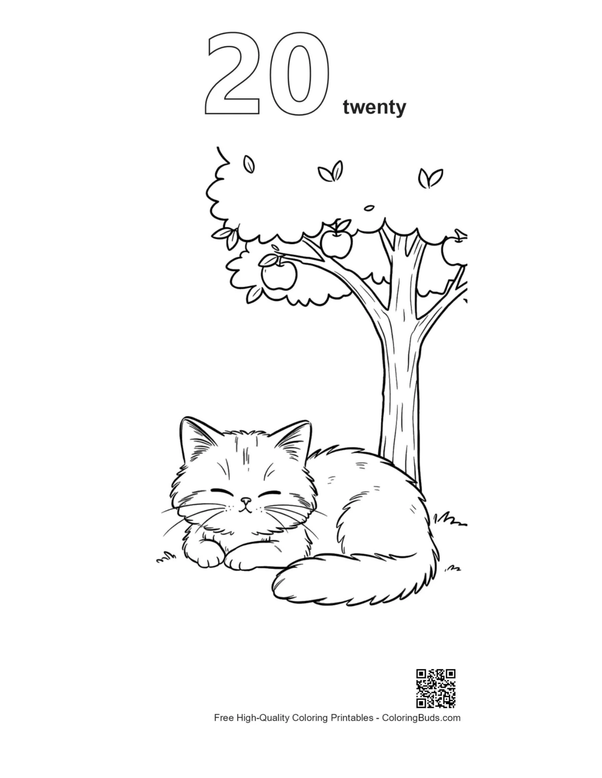 Maine Coon kitten apple tree coloring page outline #20