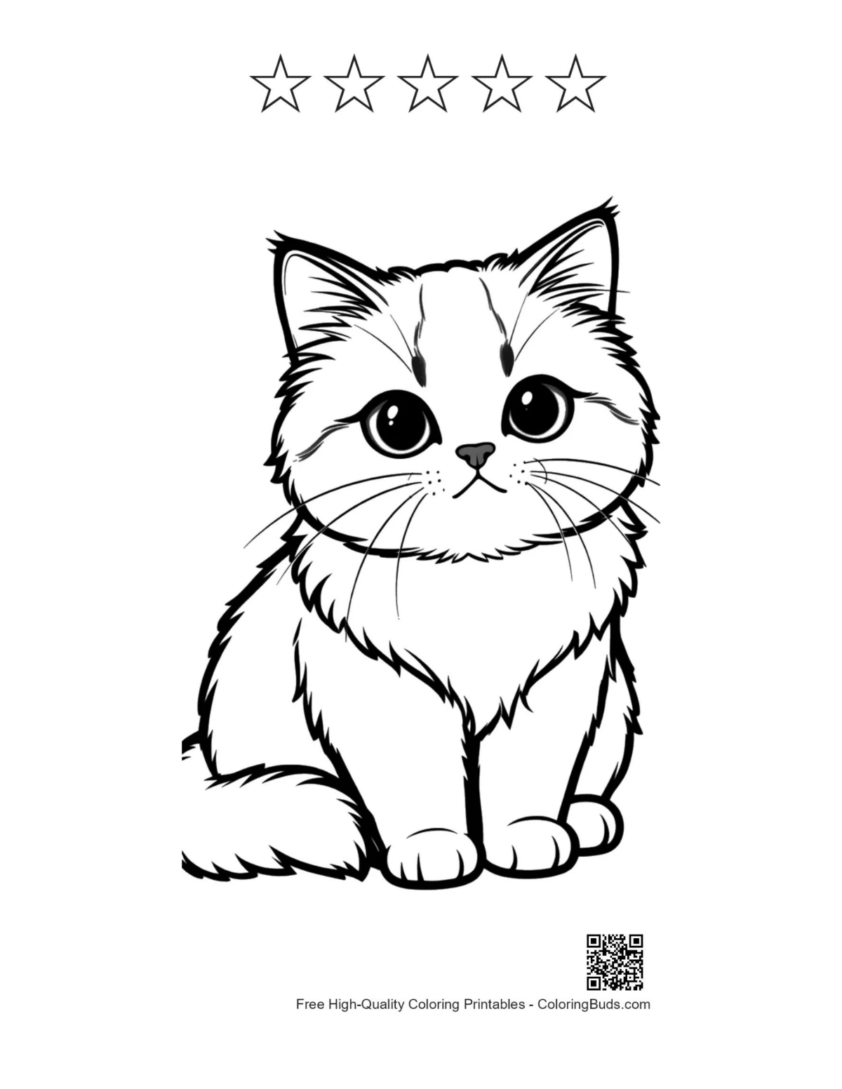 Persian kitten with 5 star outlines