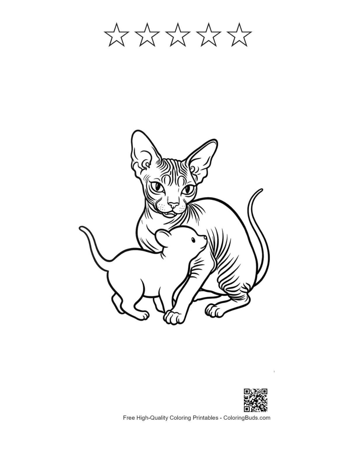 Sphynx cat kitten printable 5 stars
