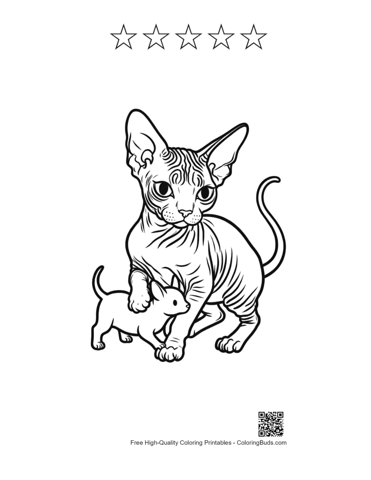 Sphynx cat kitten outline with star accents