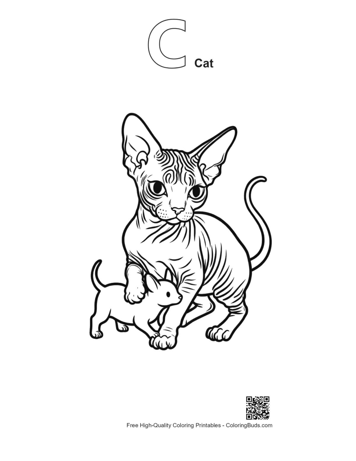 Sphynx cat outline printable with alphabet C design