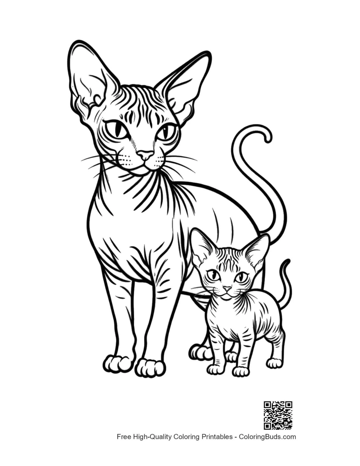 Sphynx mother kitten outline coloring page