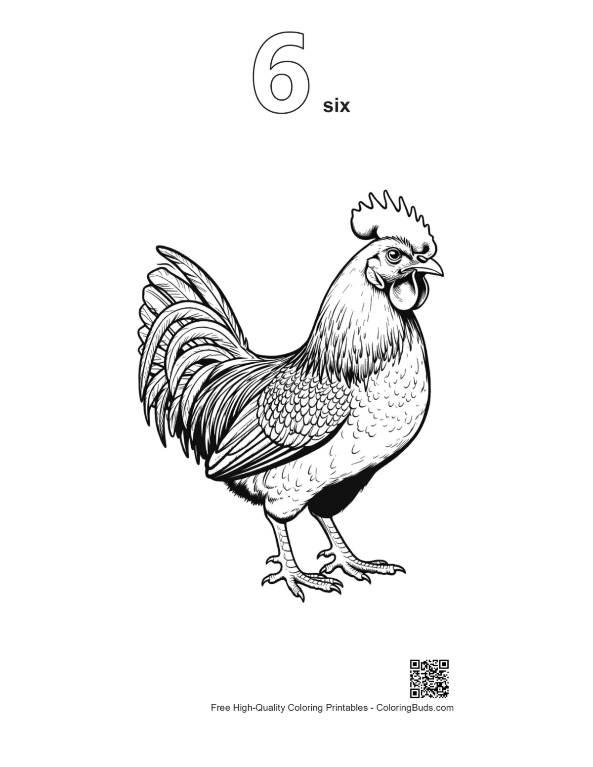 Majestic rooster outline with number 6