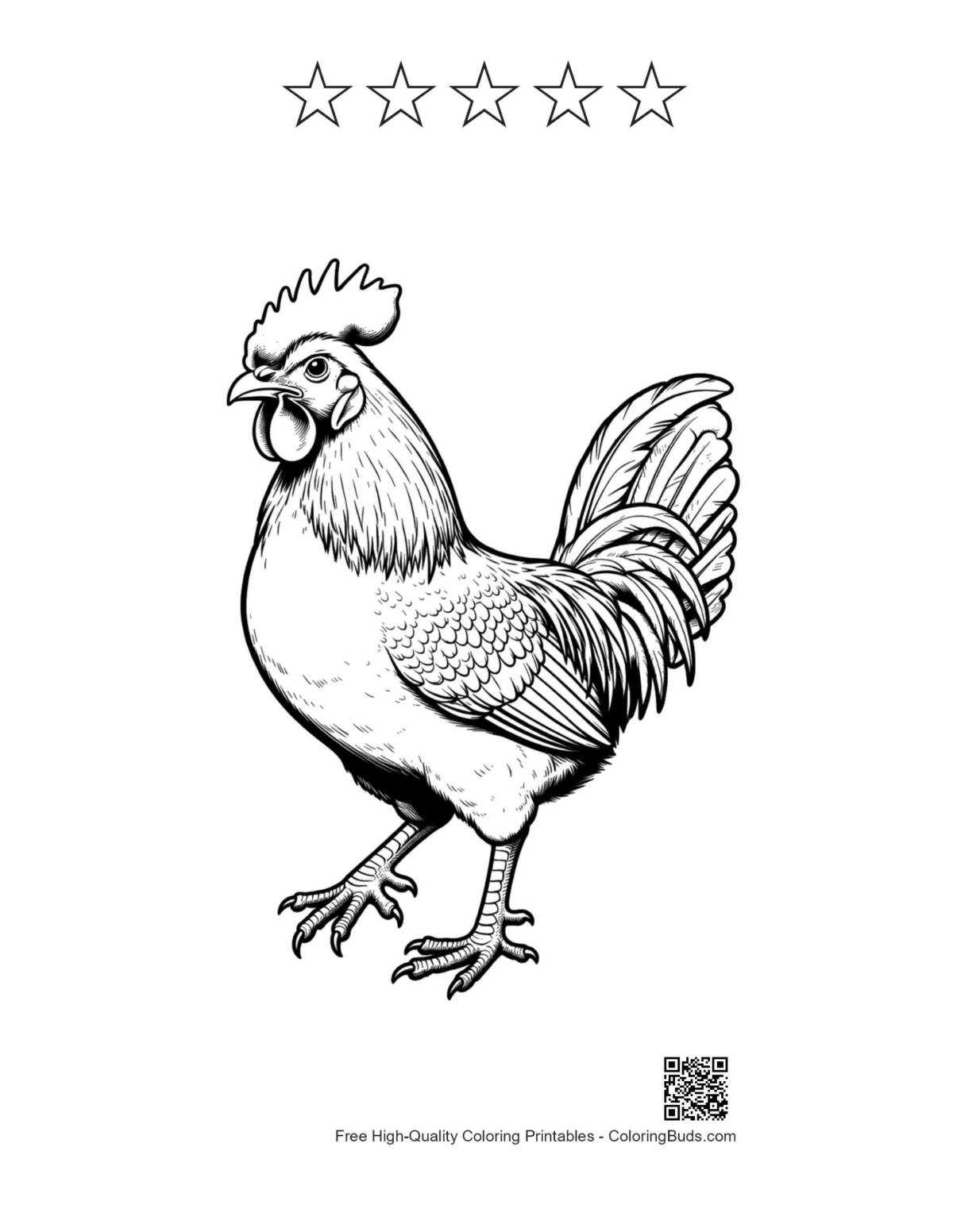 Majestic rooster with 5 star outlines printable