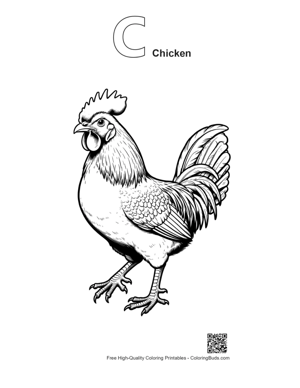 Rooster outline with alphabet C chicken design