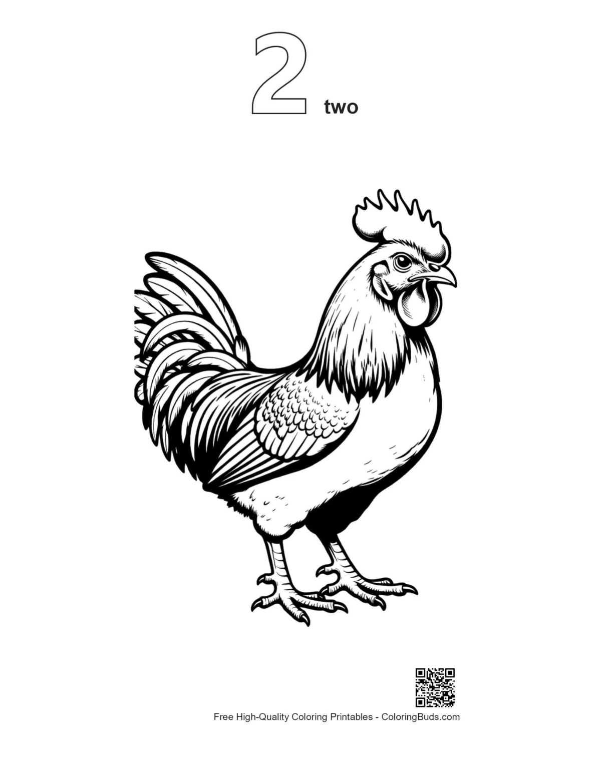 ภาพร่างไก่ตัวผู้สง่างามหมายเลข 2 สำหรับพิมพ์