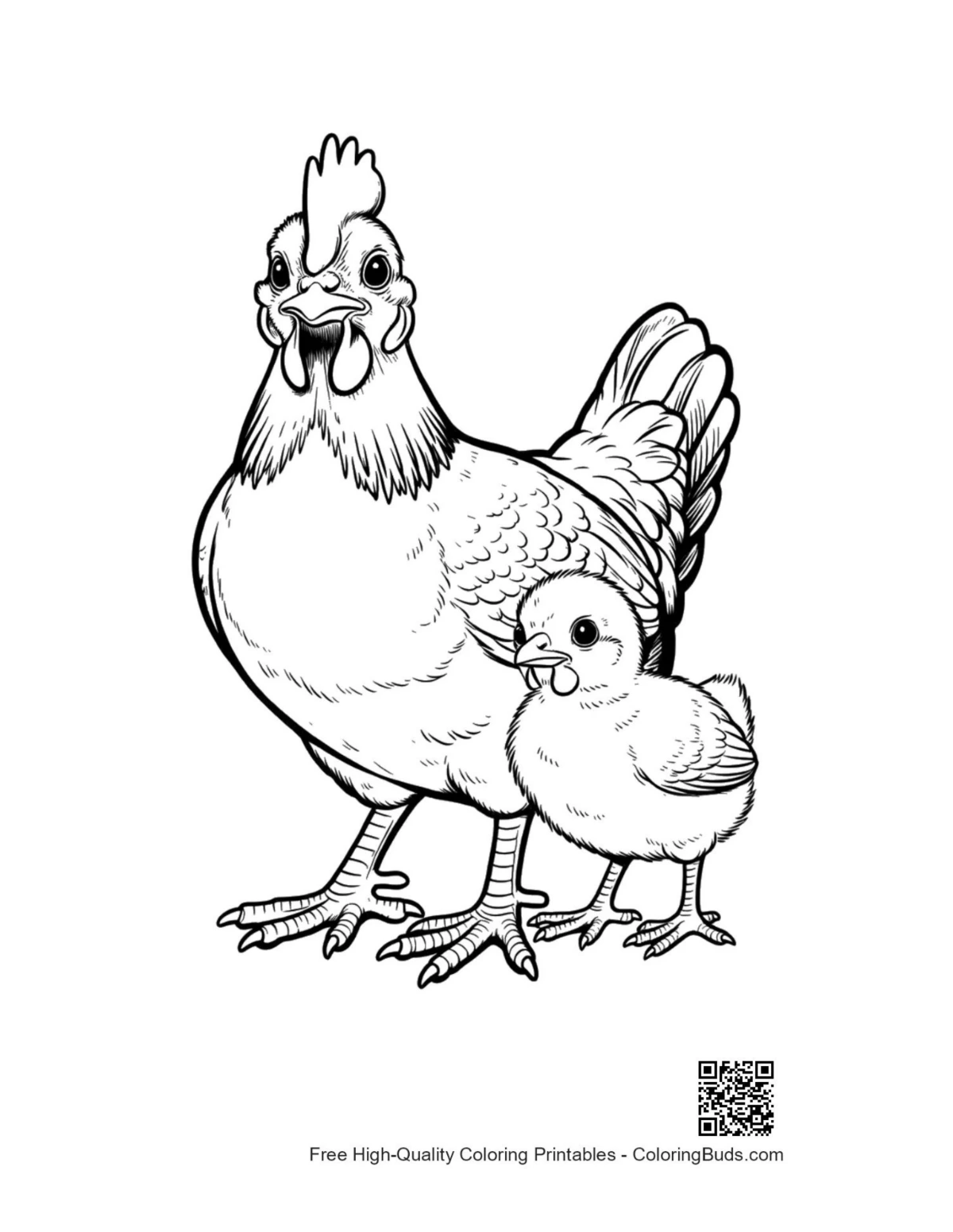 ภาพระบายสีแม่ไก่ปกป้องลูกไก่