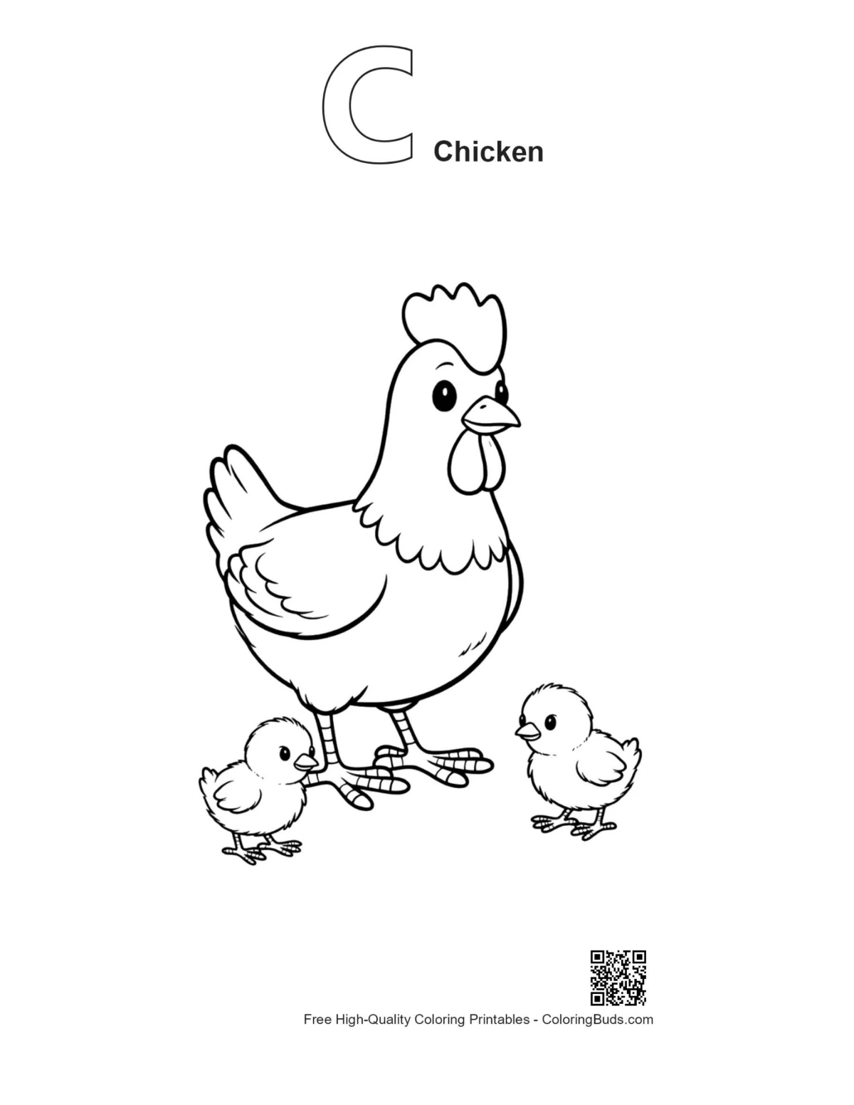 ลูกไก่ตัวเมียที่มีโครงร่างเป็นตัวอักษร C ไก่