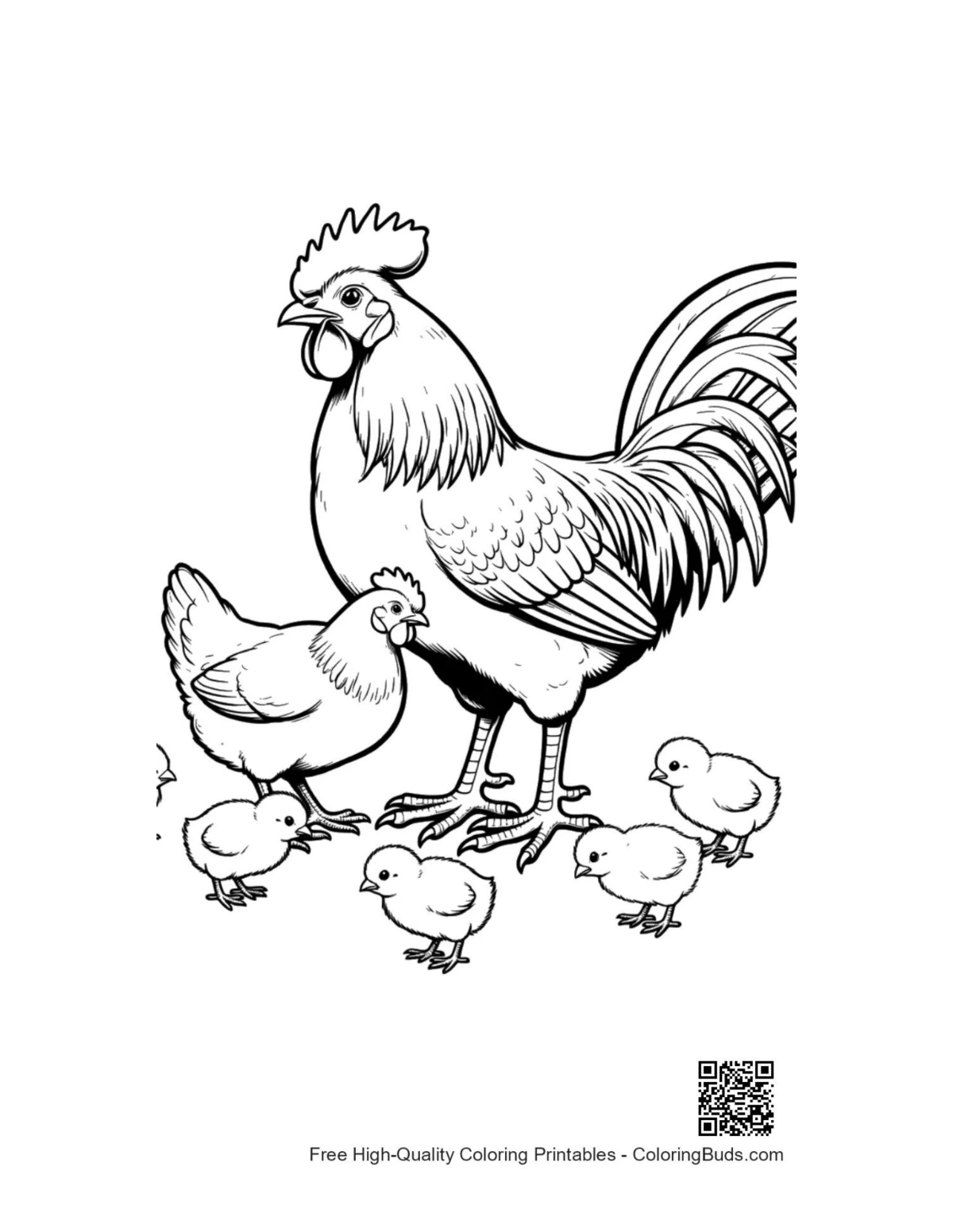 ภาพระบายสีไก่ตัวผู้และไก่ตัวเมียกับลูกไก่
