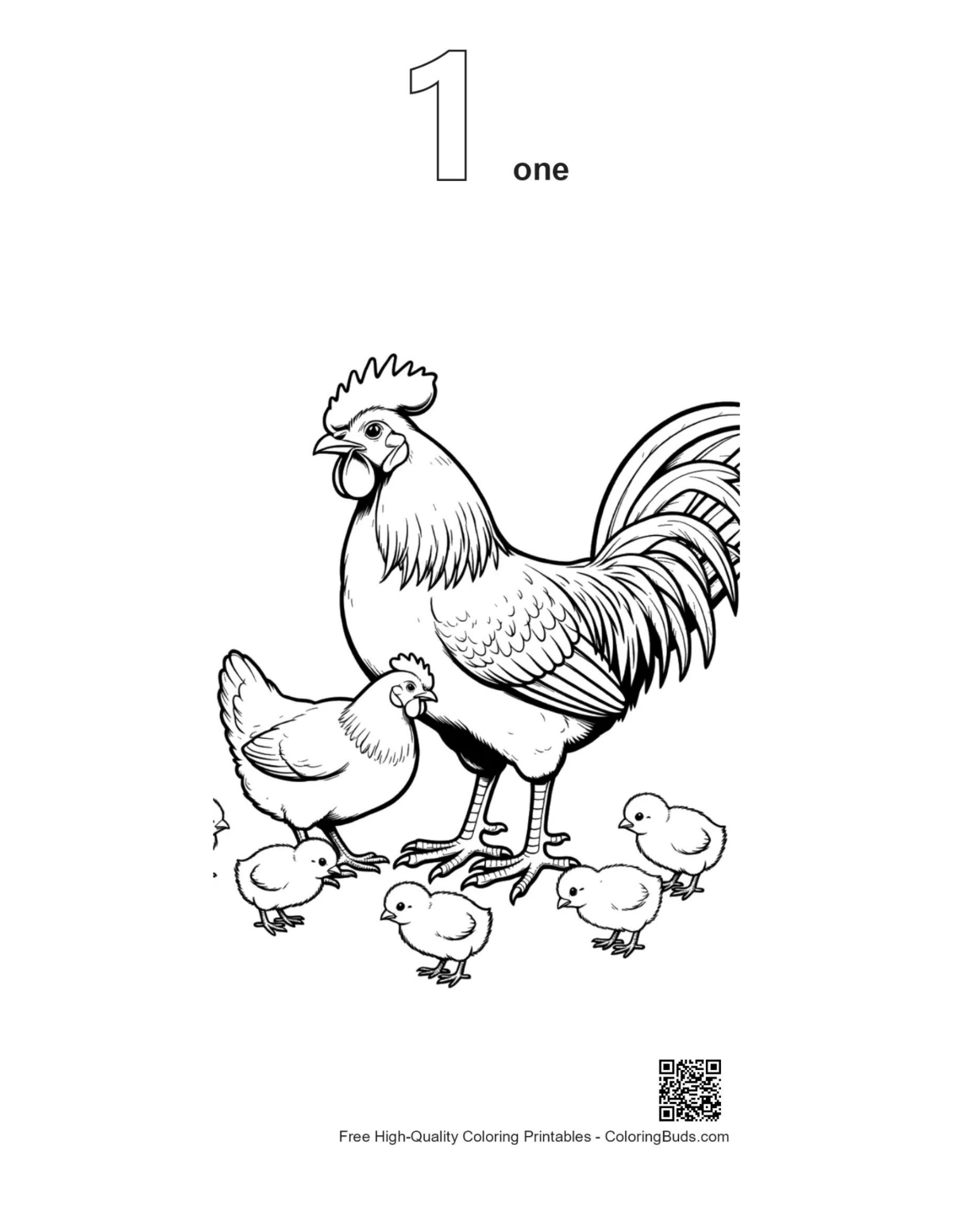 แบบร่างลูกไก่ตัวผู้และตัวเมียพร้อมหมายเลข สามารถพิมพ์ได้