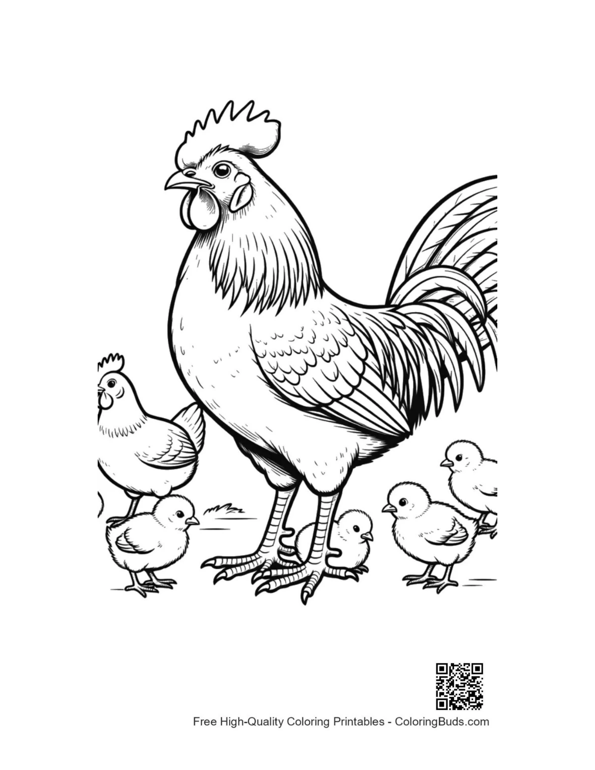 Proud rooster with hens and chicks coloring page