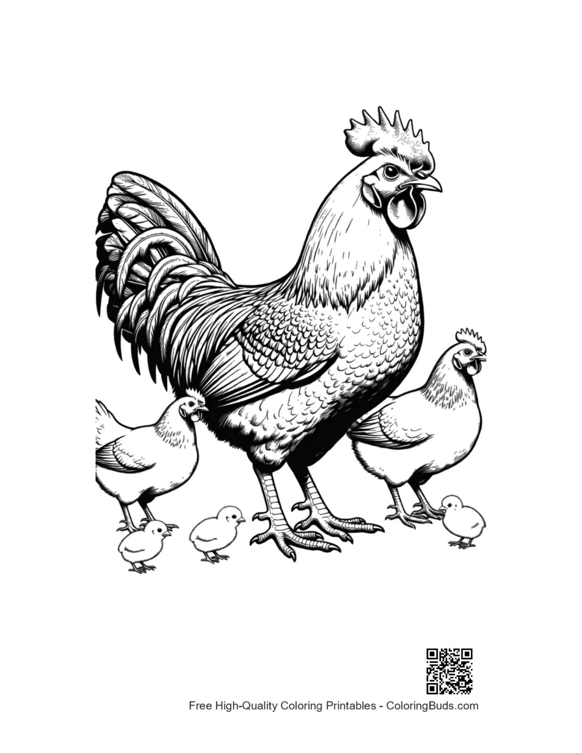 Proud rooster with hens and chicks coloring page
