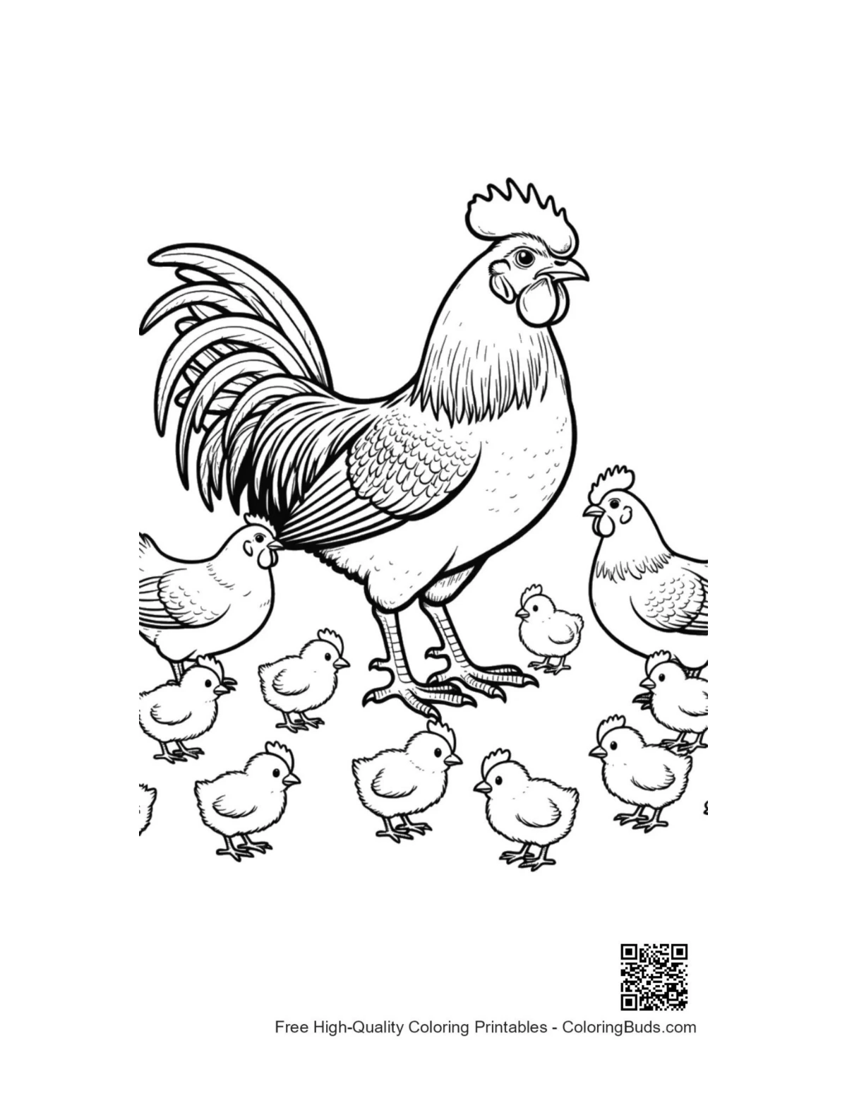 Proud rooster with hens coloring page