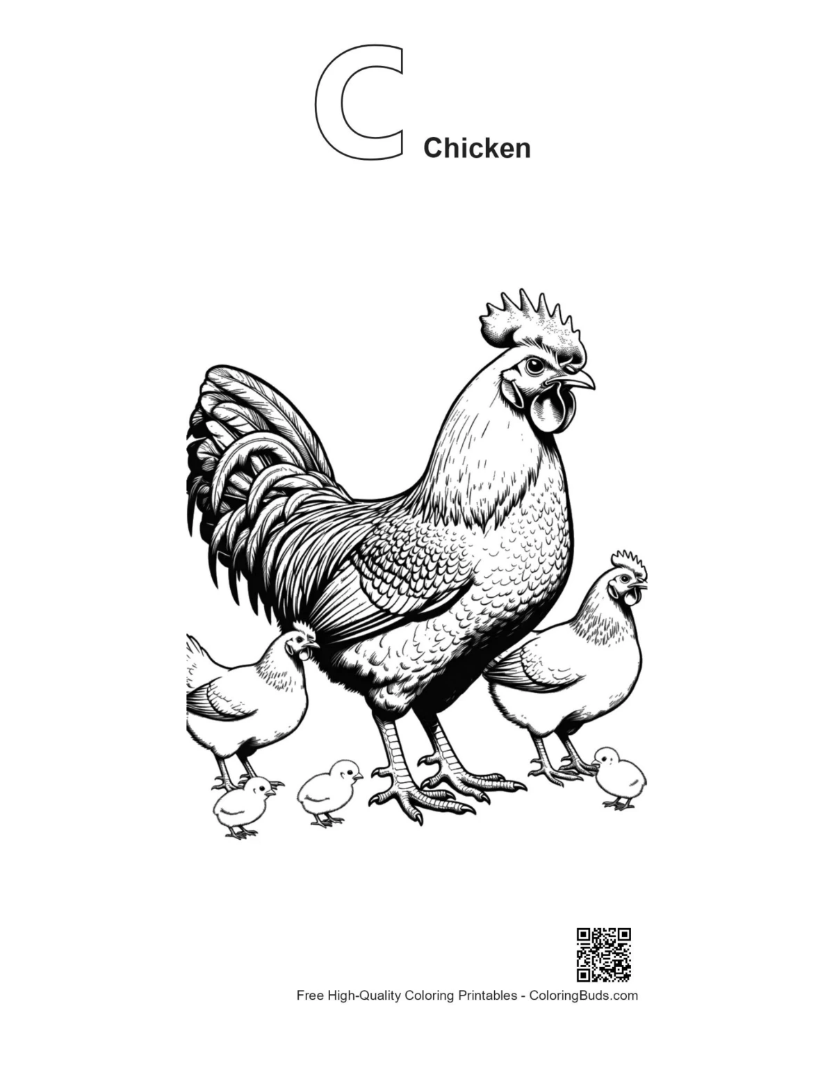 Rooster coloring page with alphabet C outline