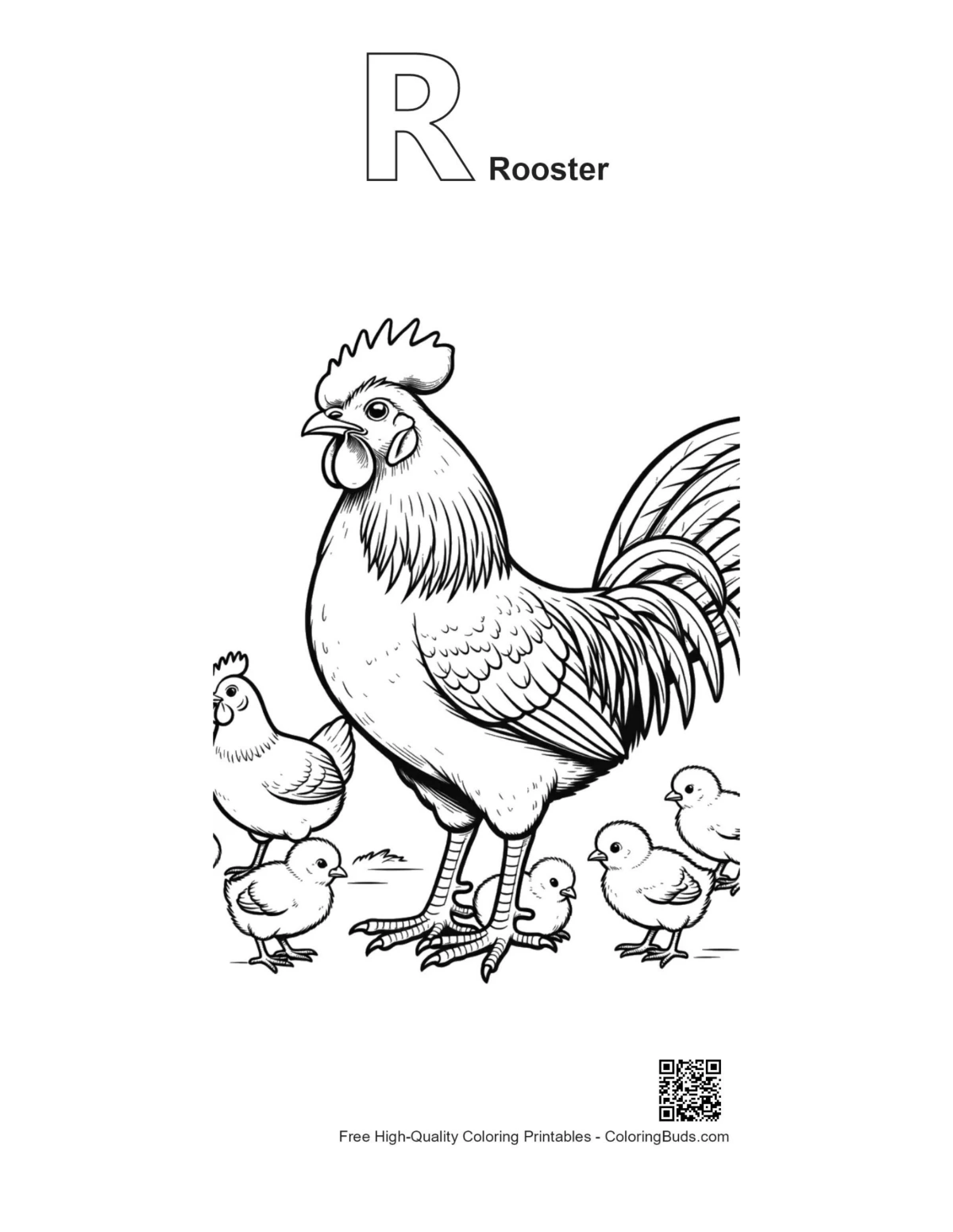 Rooster coloring page with R alphabet outline